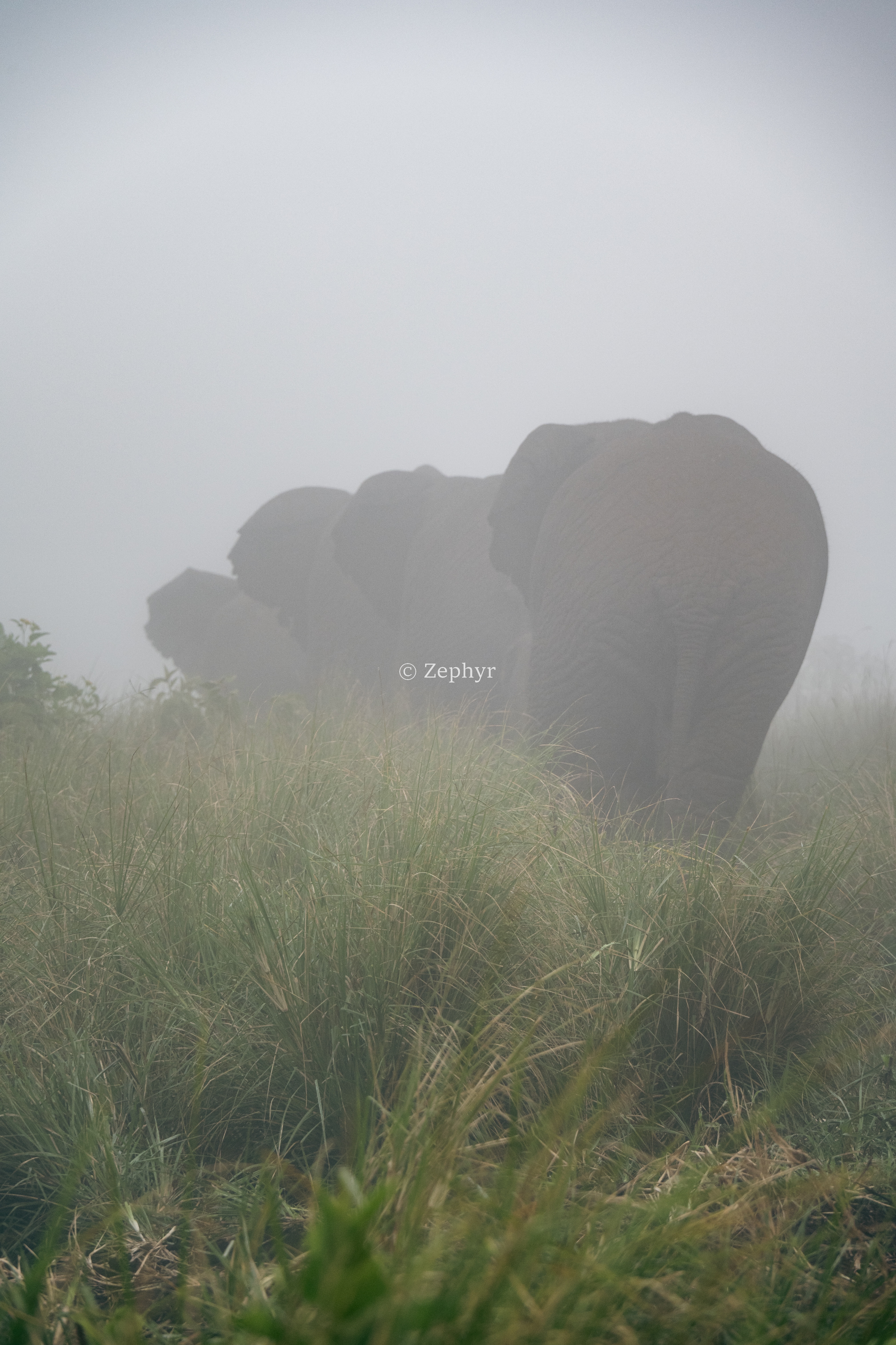 ̹ɣǶ޻ɽ۾Լ۱֮ѡSerena Safari Lodge NGORONGORO
