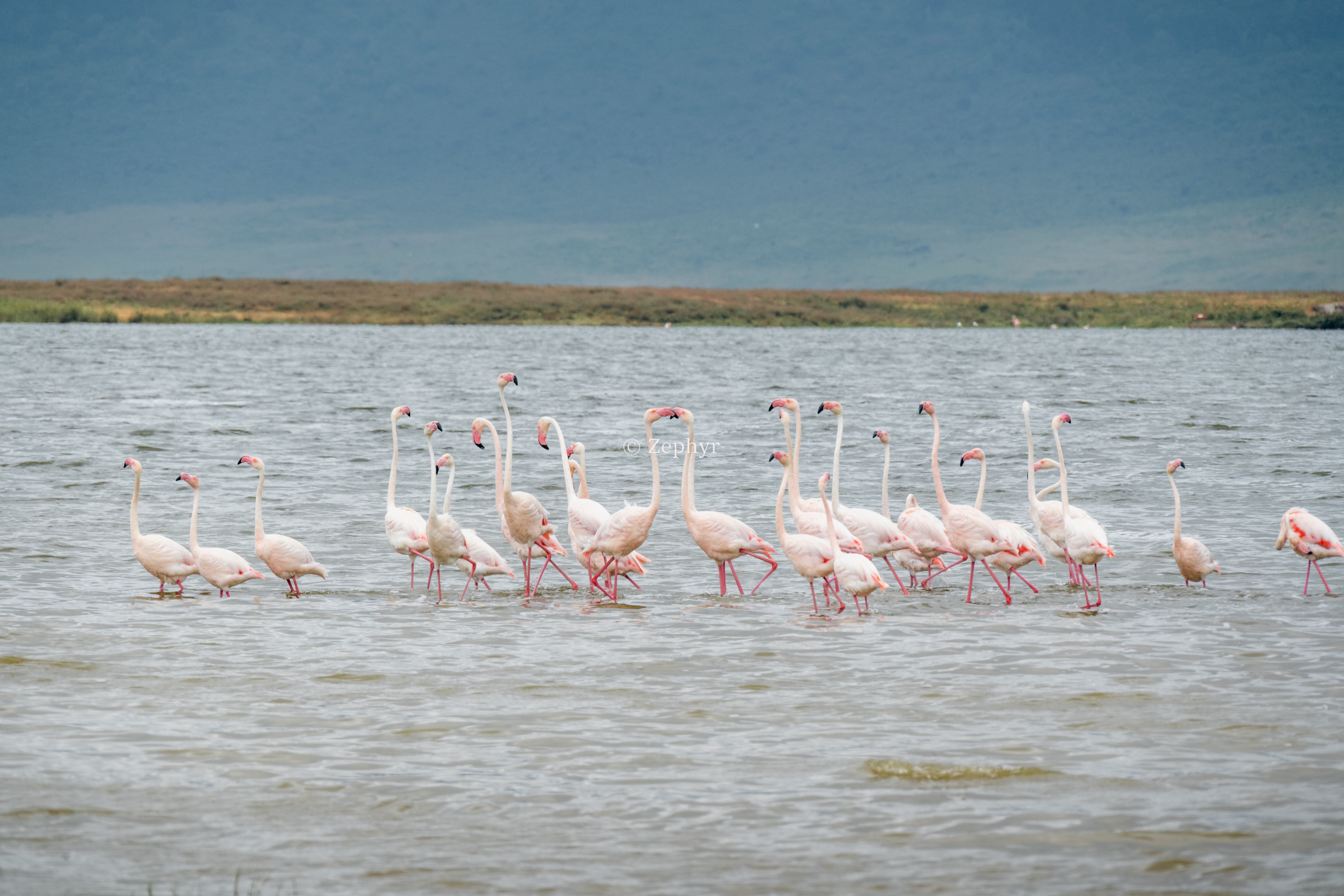 ̹ɣǶ޻ɽ۾Լ۱֮ѡSerena Safari Lodge NGORONGORO