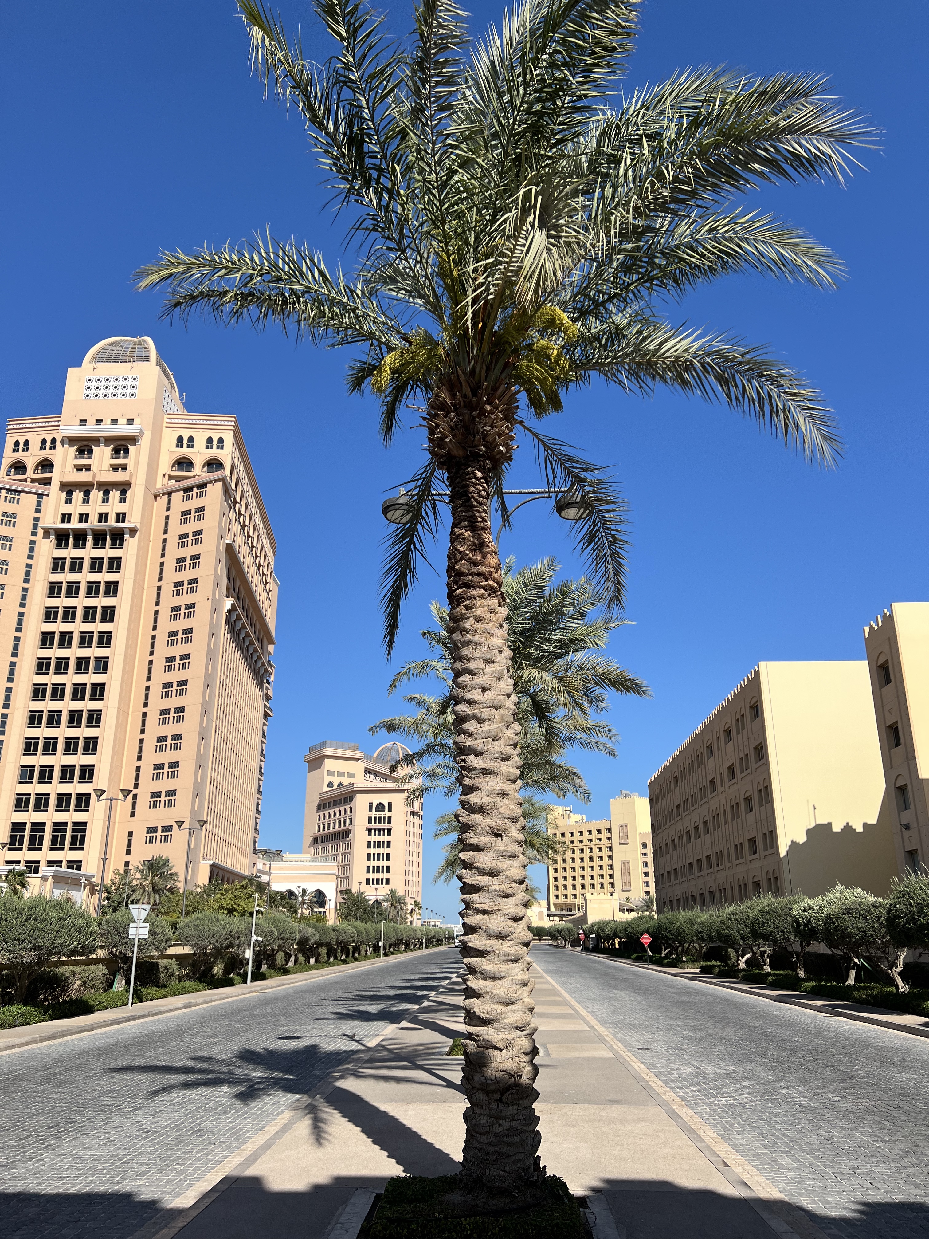 𼪵ھӣ޼һ飨Intercontinental Doha
