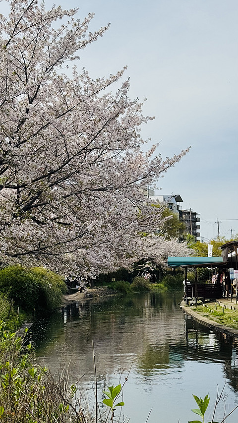 大阪新地标！大阪华尔道夫酒店角套揭秘
