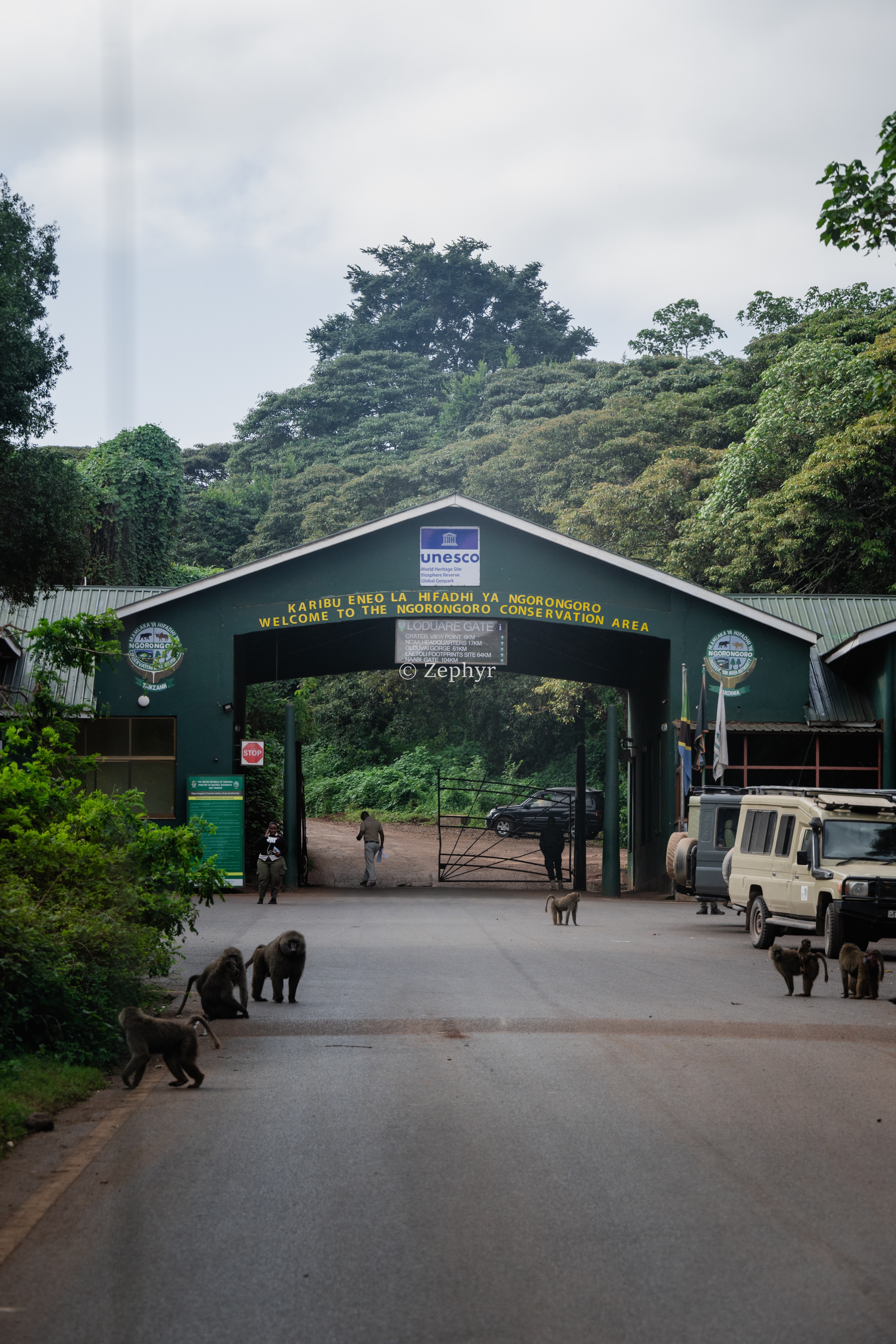 ̹ɣǶ޻ɽ۾Լ۱֮ѡSerena Safari Lodge NGORONGORO