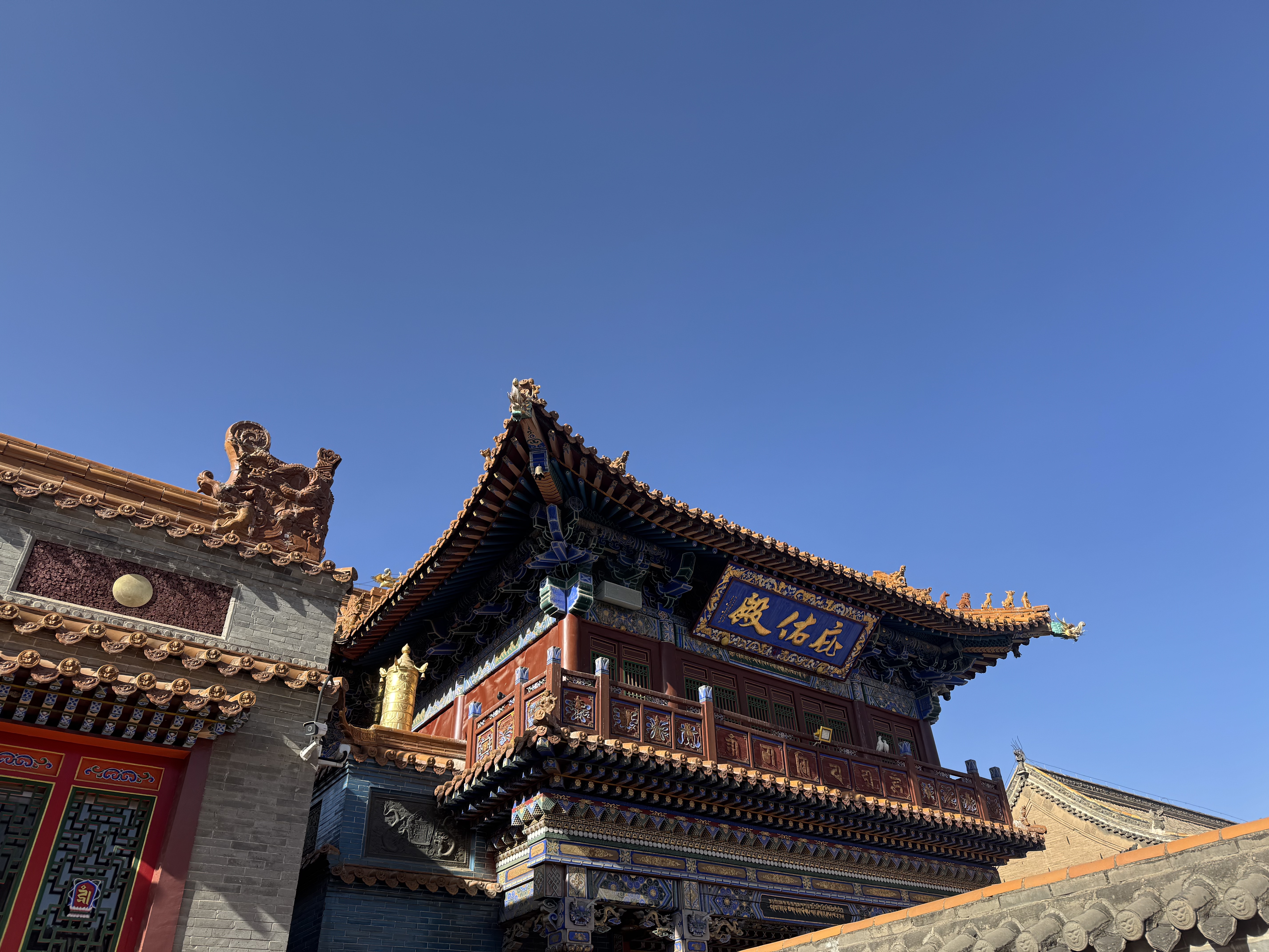 ͺϲǾƵ  Sheraton Hohhot Hotel