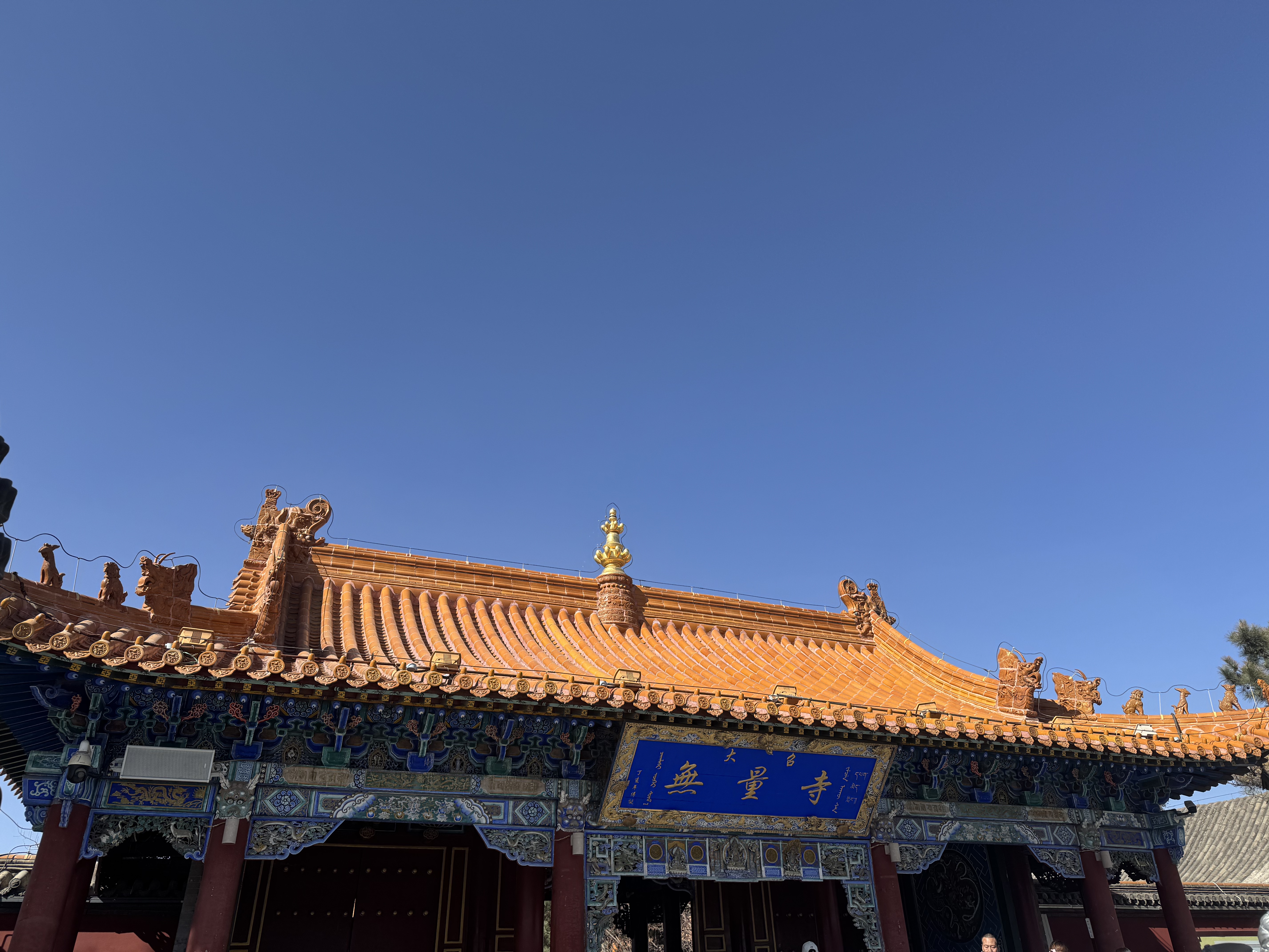 ͺϲǾƵ  Sheraton Hohhot Hotel