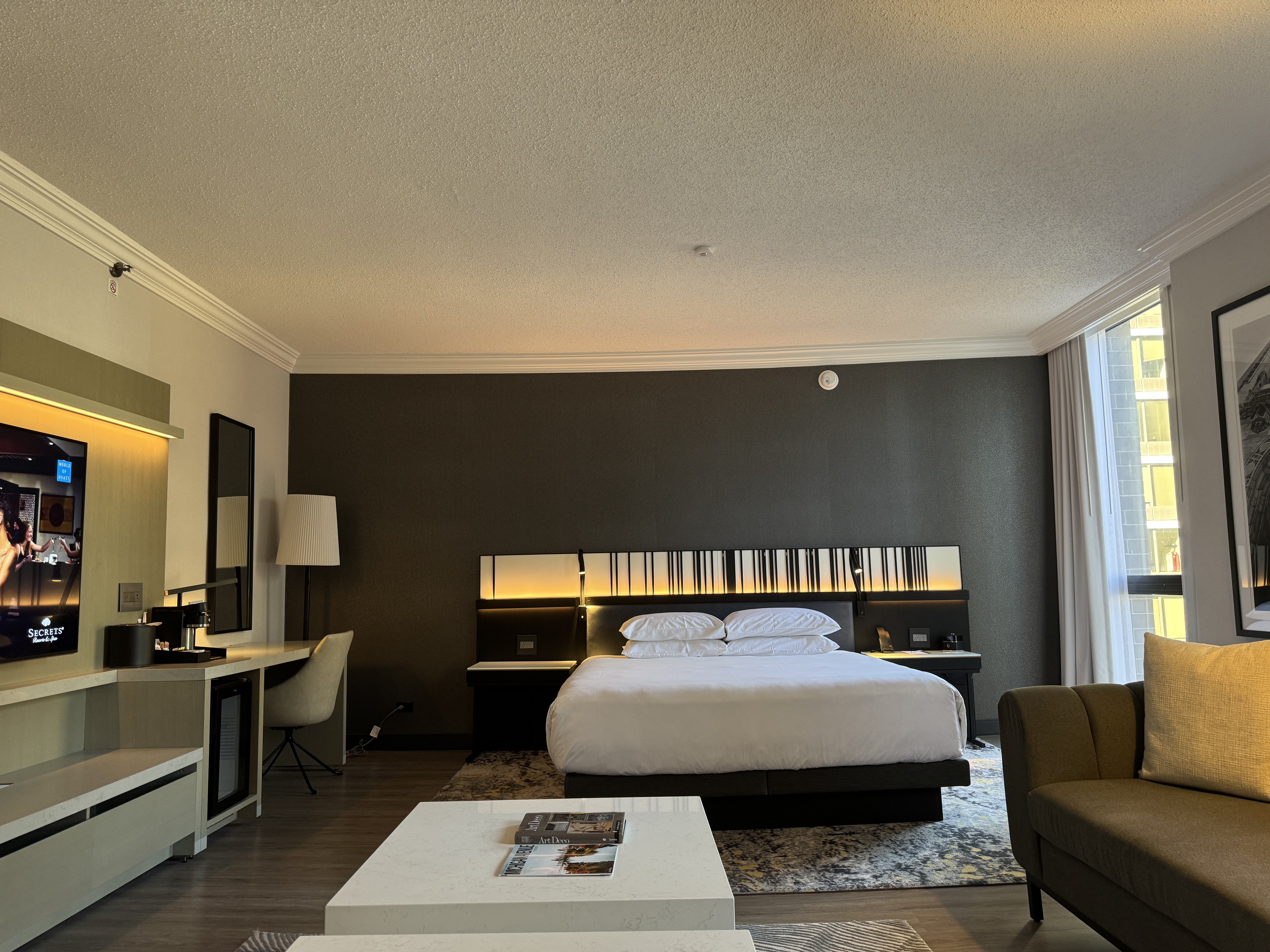 Ǻϣ֮ѡ ֥Ӹ翭þƵ Hyatt Regency Chicago ׼ס
