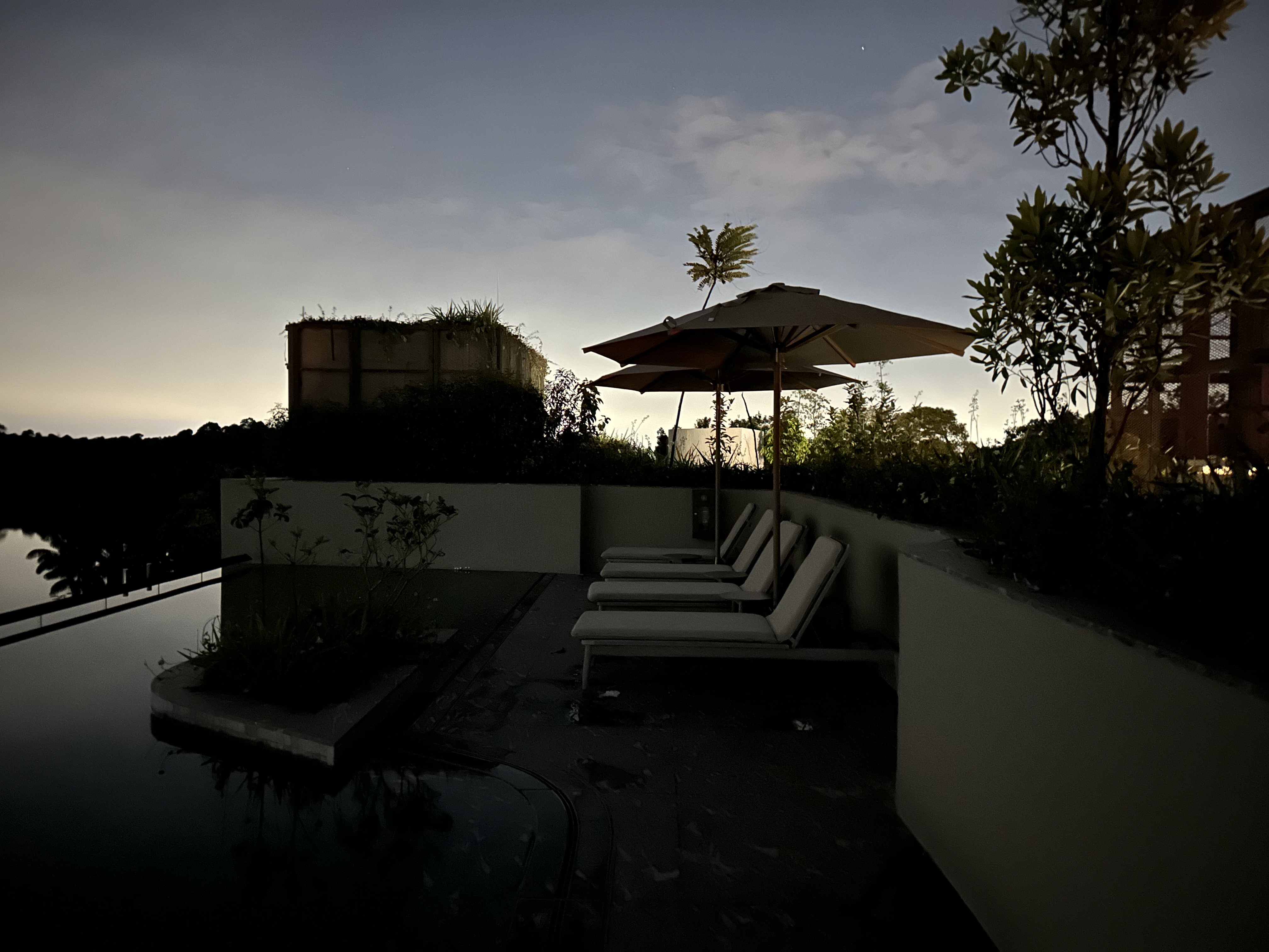 ¼̬ׯ׷-Mandai Rainforest by Banyan Tree