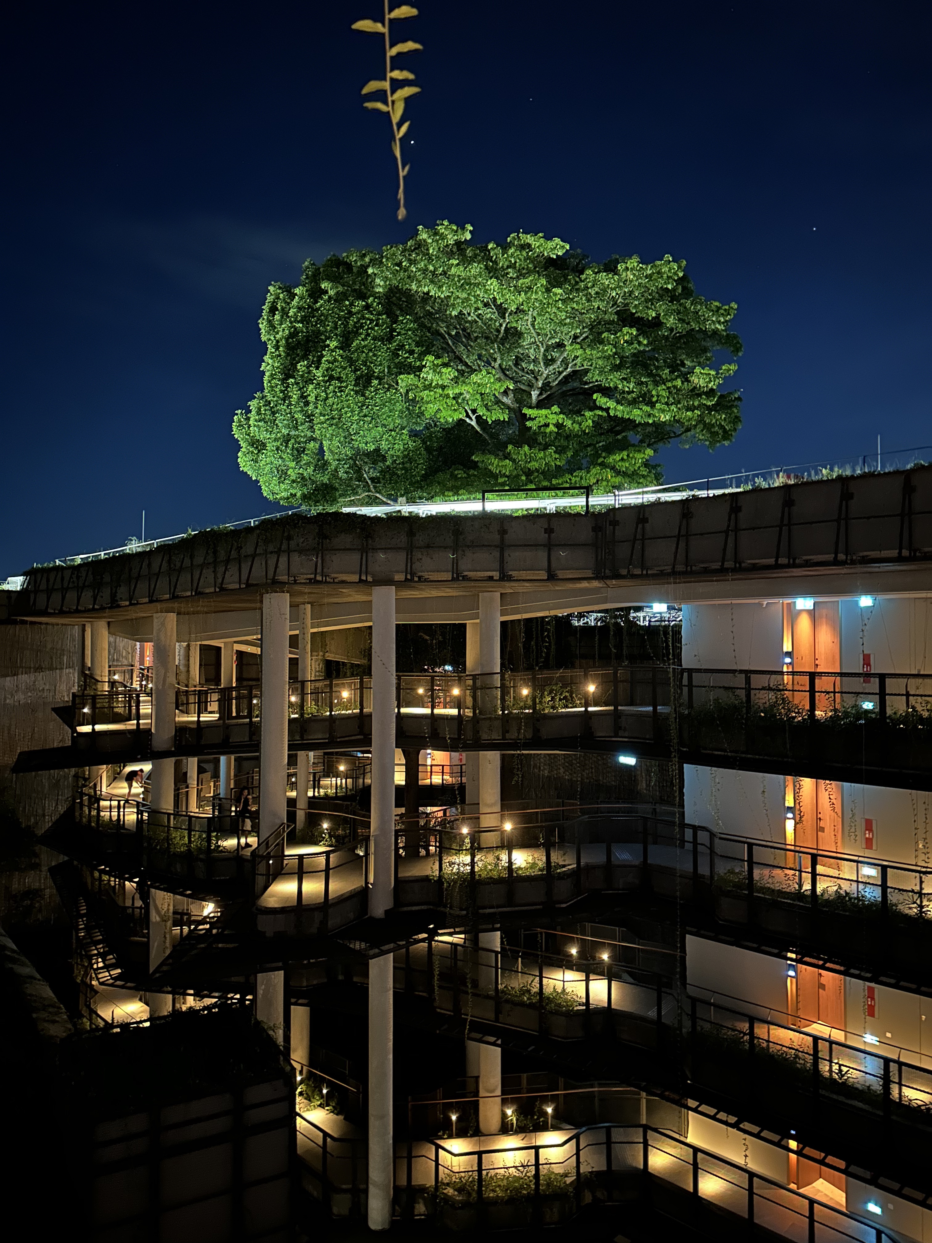 ¼̬ׯ׷-Mandai Rainforest by Banyan Tree