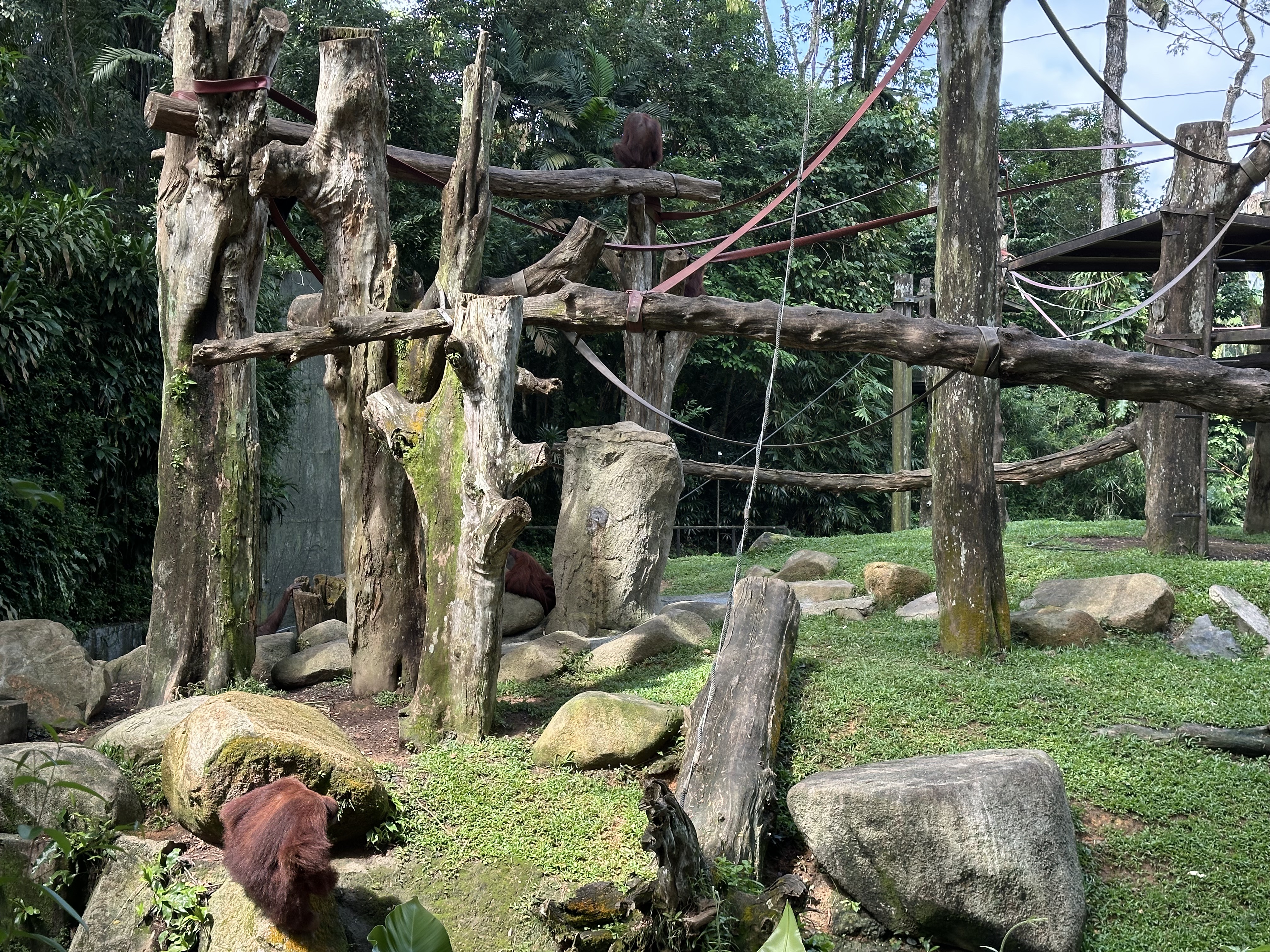 ¼̬ׯ׷-Mandai Rainforest by Banyan Tree