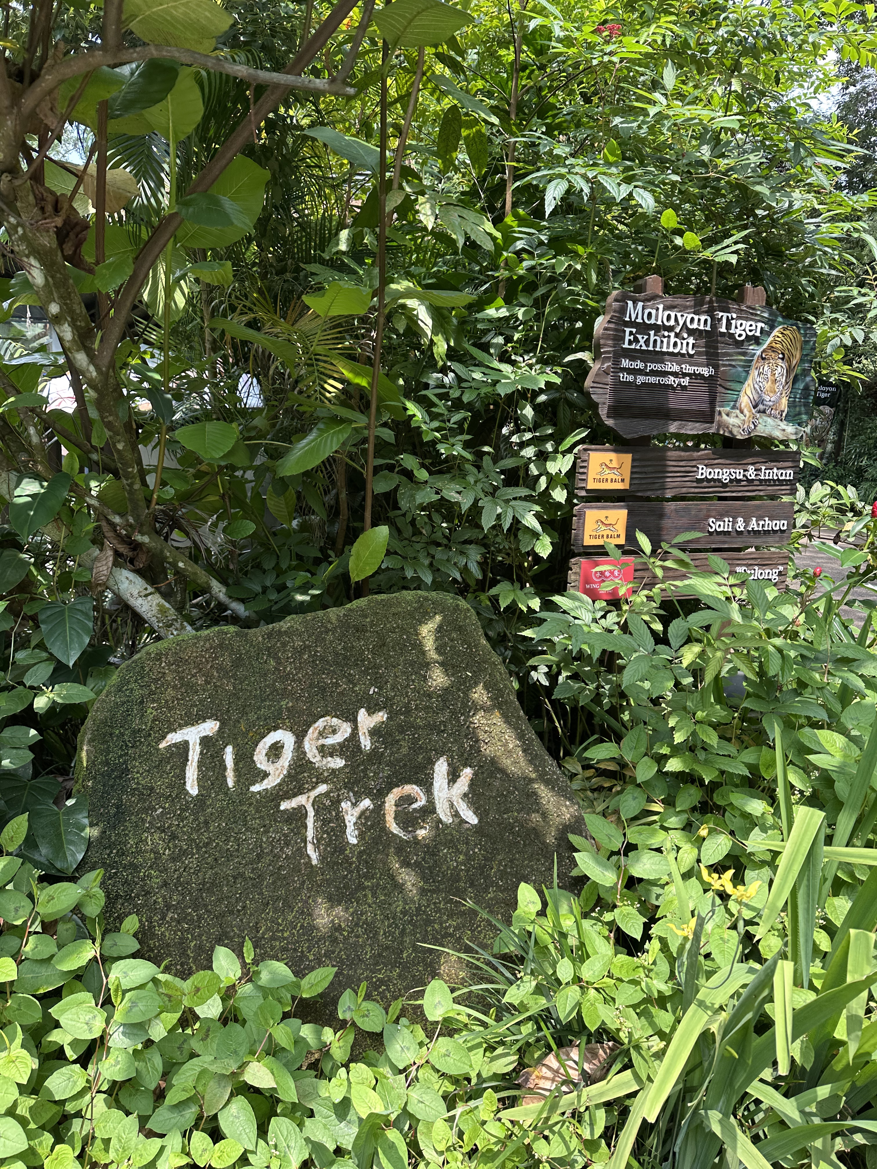 ¼̬ׯ׷-Mandai Rainforest by Banyan Tree
