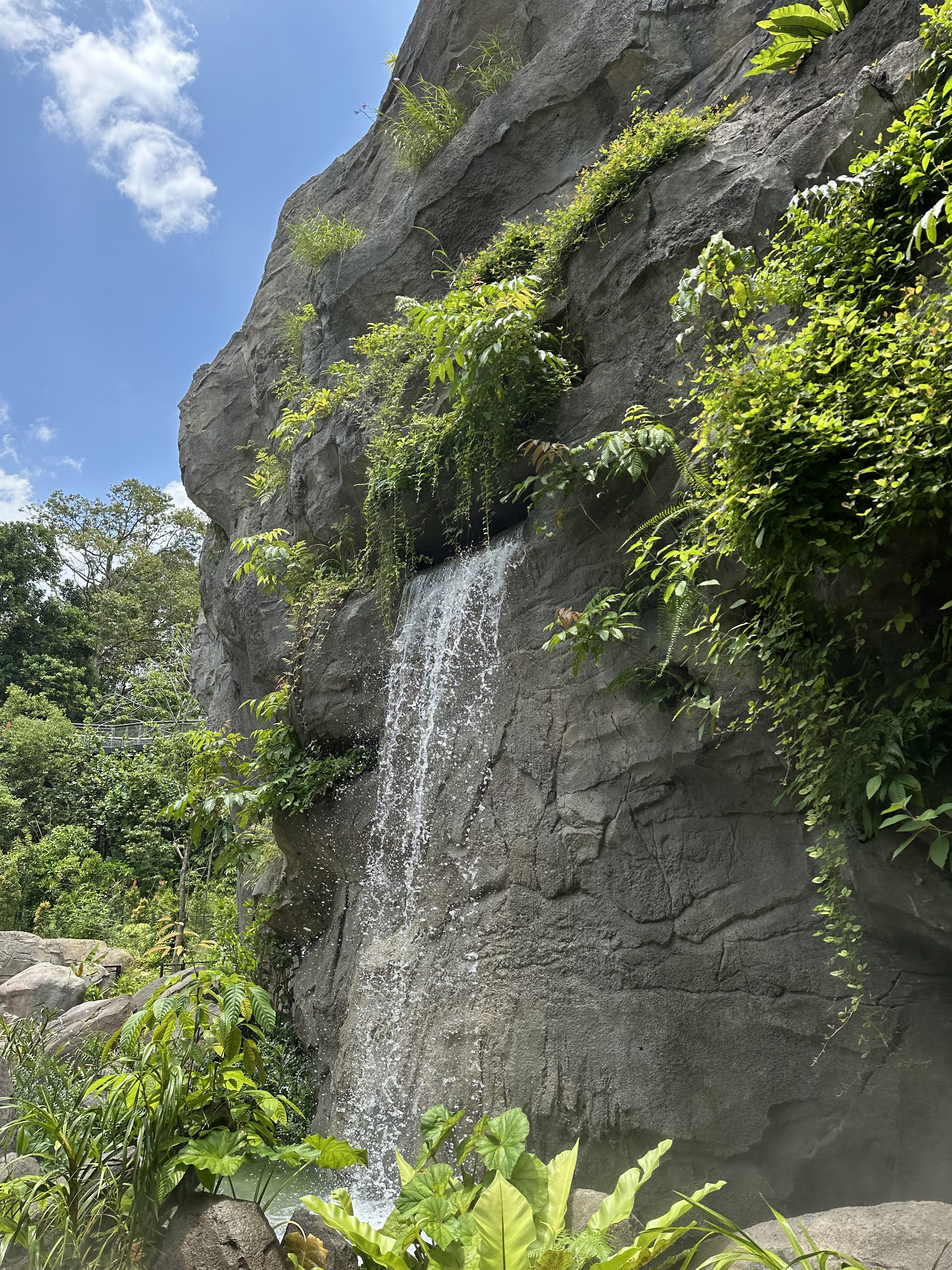 ¼̬ׯ׷-Mandai Rainforest by Banyan Tree