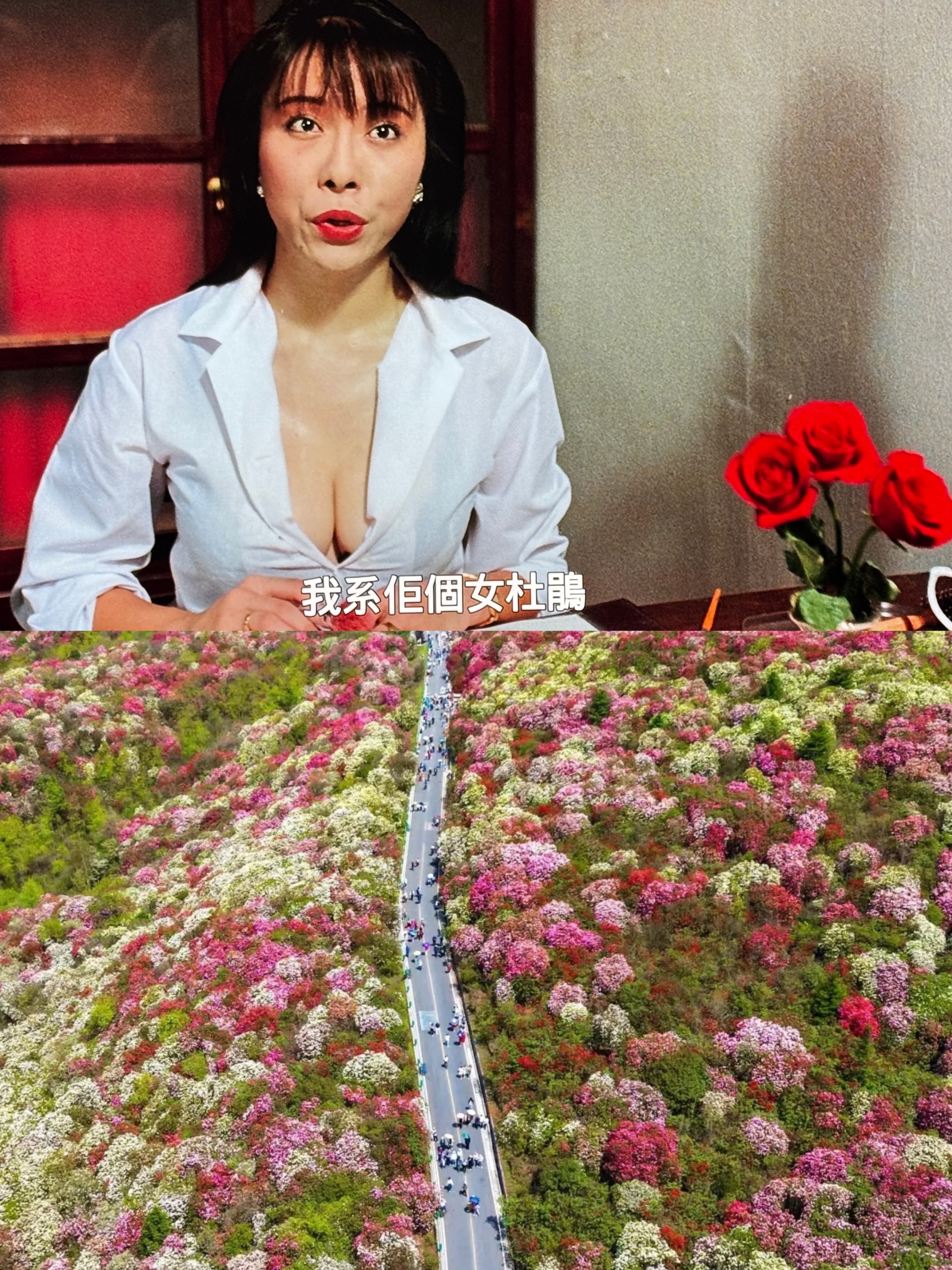 #³#л콢136ϽԽƵ굥׷