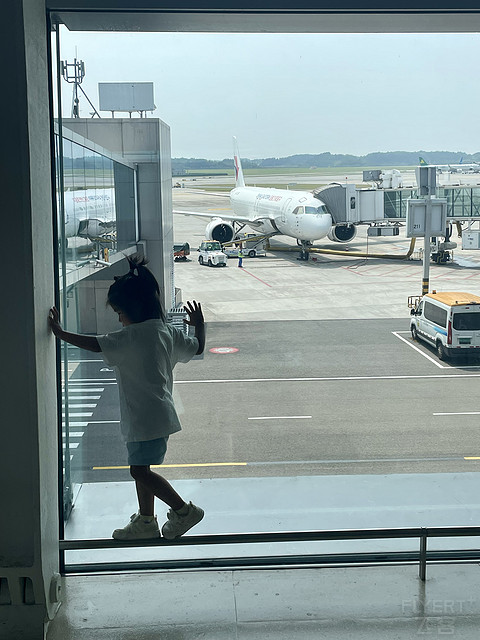 东航C919经济舱座位哪里好？四次919飞行横评