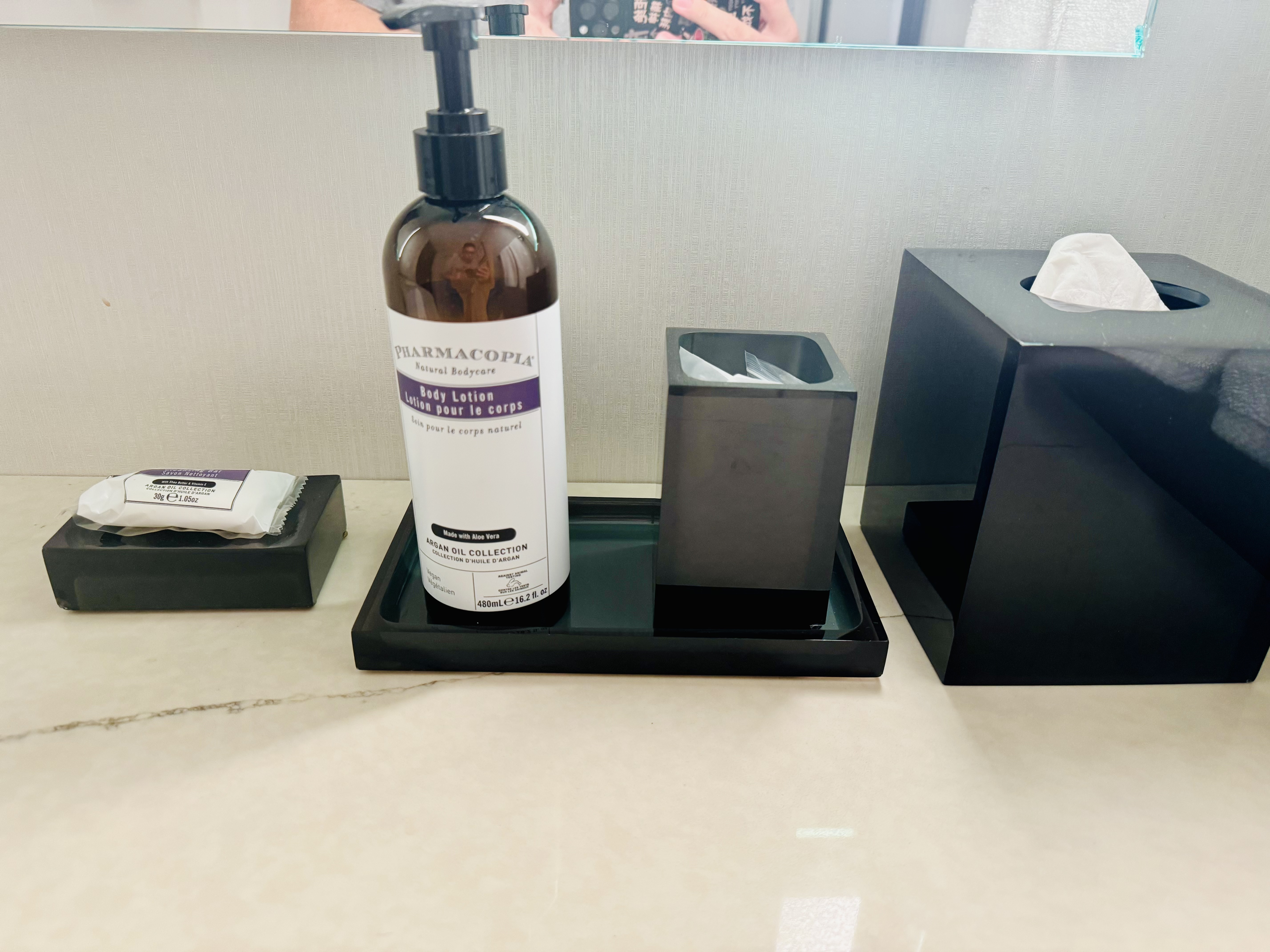 İѡ񡹡Hyatt Regency OHare Plaza Suiteס