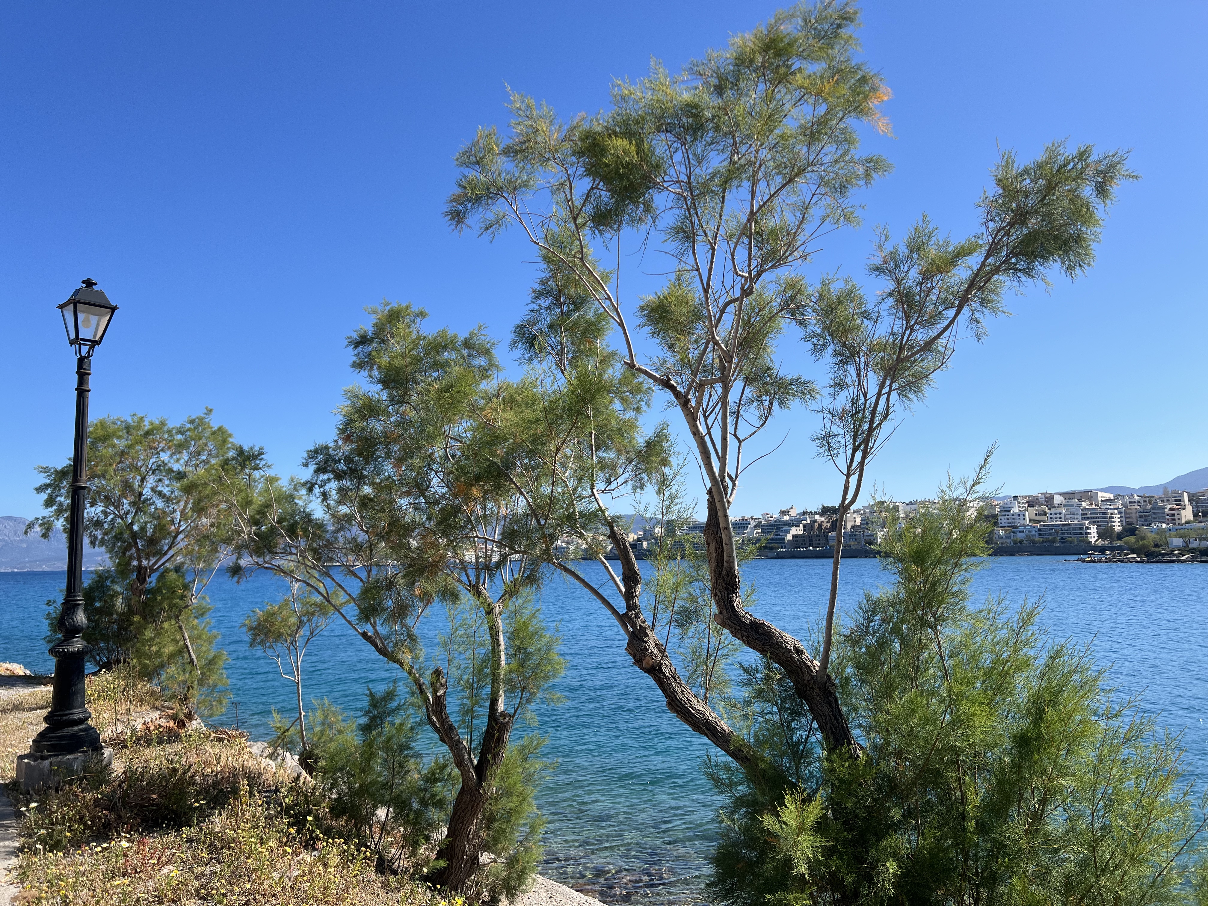 2025һ׷ȯкϵɫ顪޼5סʱ⣨Crete