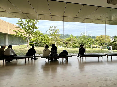 日本·京都｜再一次漫步在那美丽的街头｜Hyatt Regency Kyoto