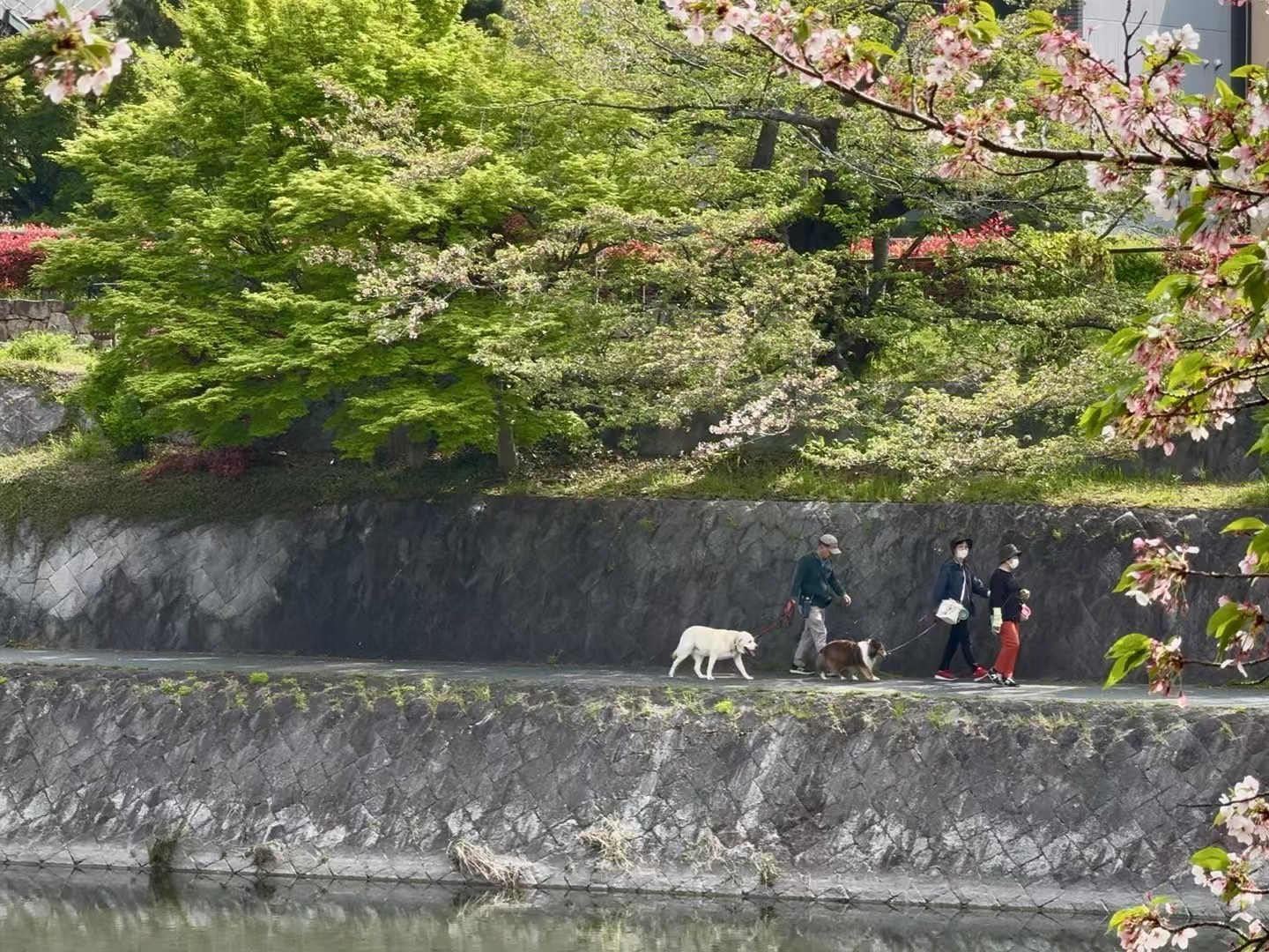 ձһĽͷHyatt Regency Kyoto