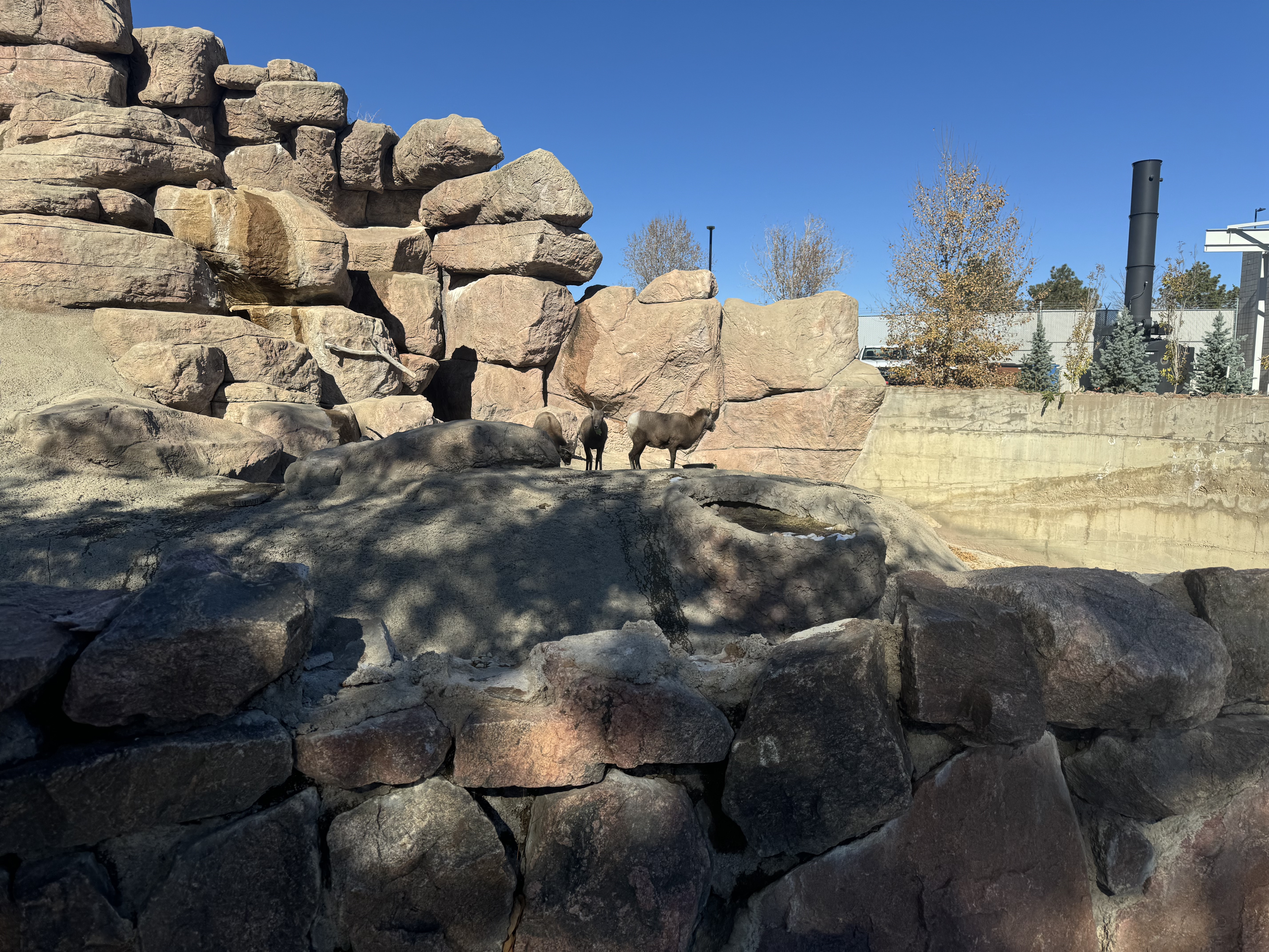 Hyatt Prive | Thompson Denver ͩɭƵǷס