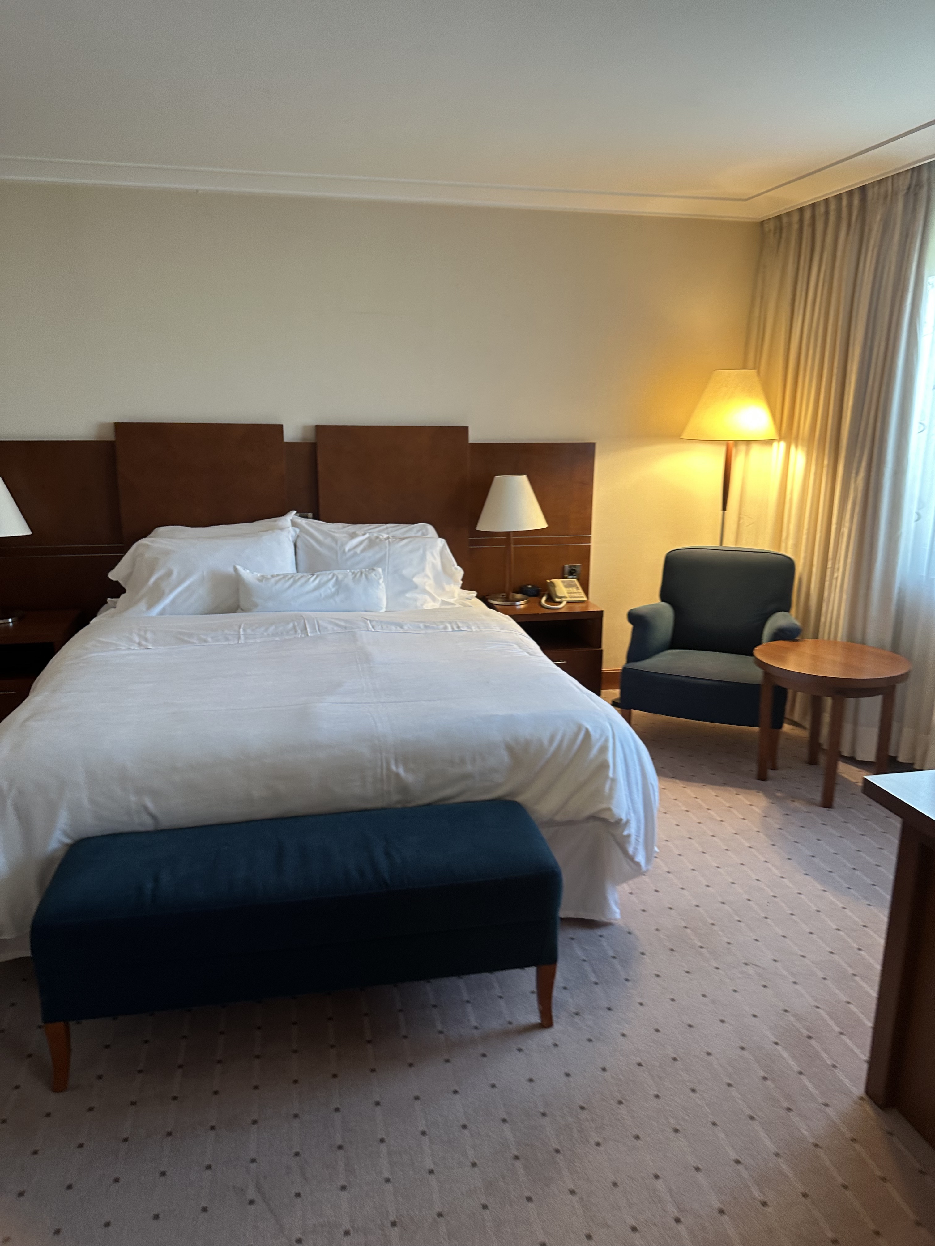 ޵׶ѡZagreb Westin ׷ʵס