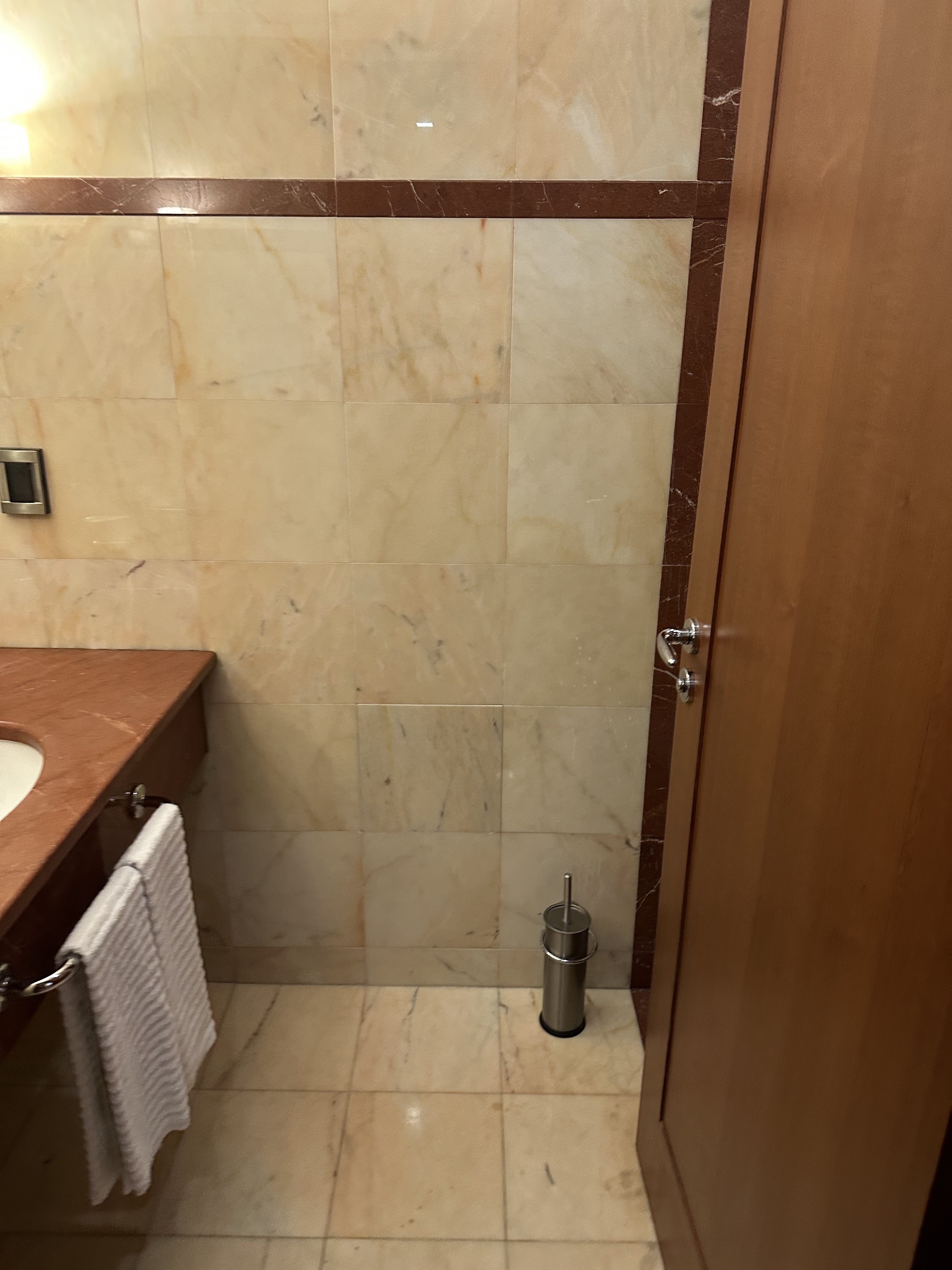 ޵׶ѡZagreb Westin ׷ʵס