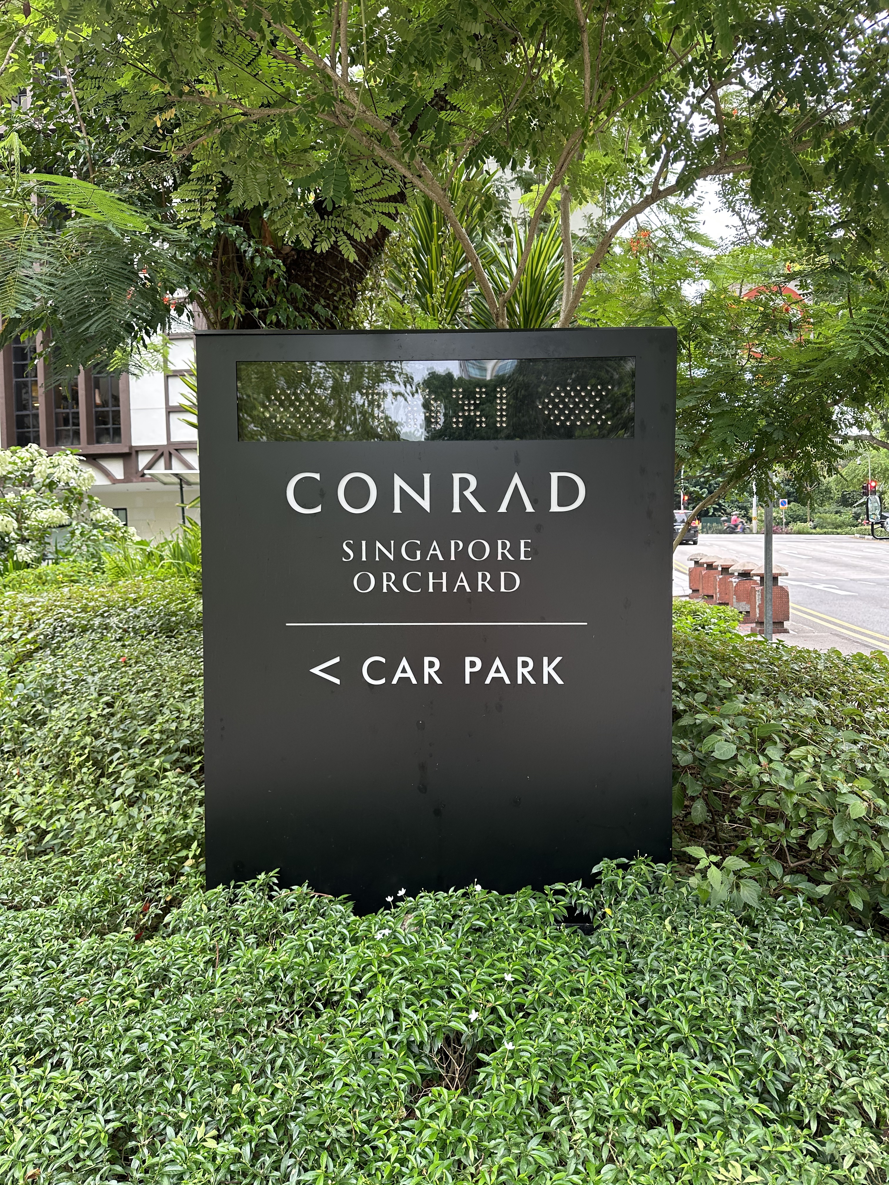 ¼ڽڿ-Conrad Singapore Orchard
