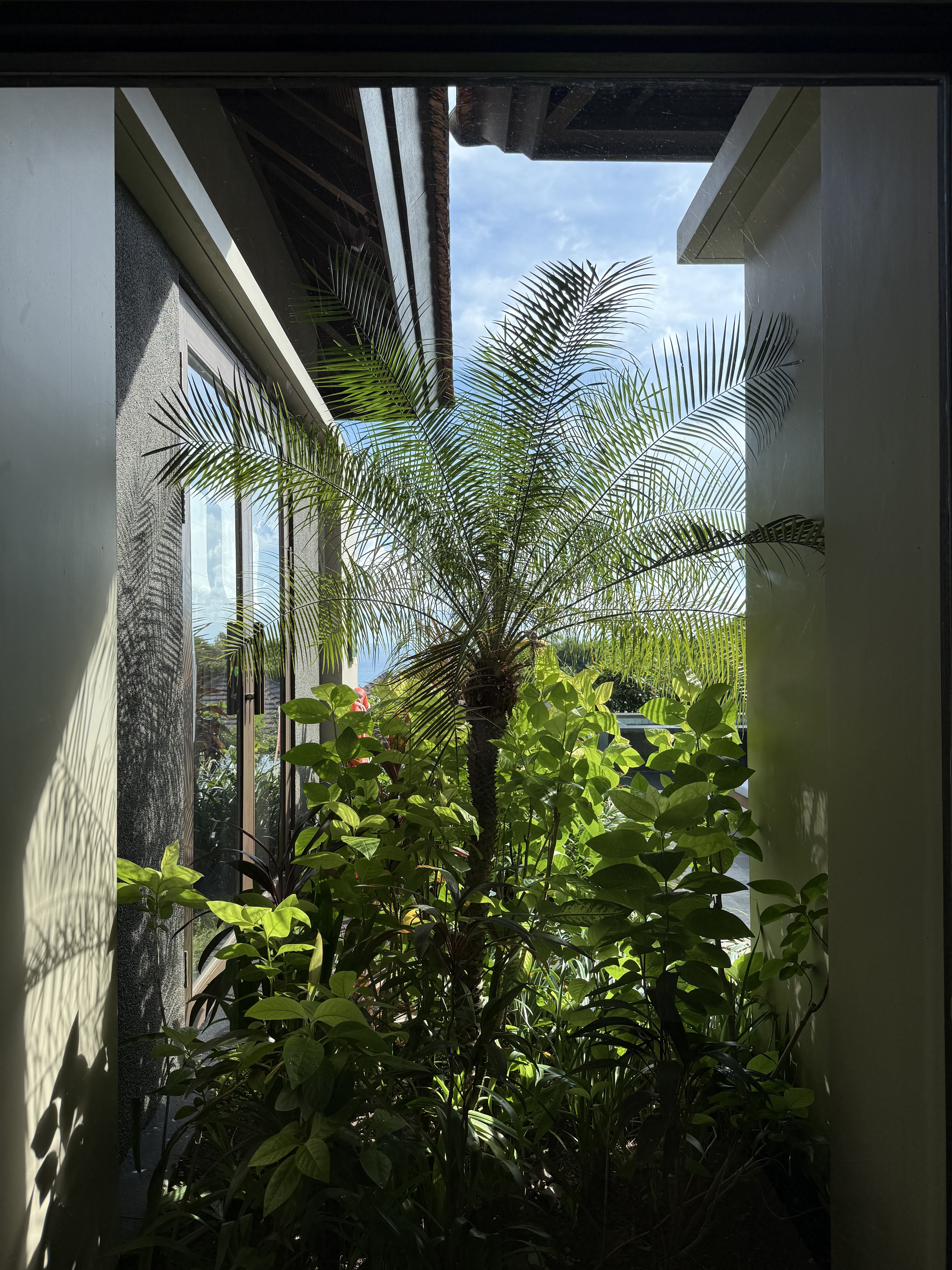 ֮-嵺Umana Bali LXR