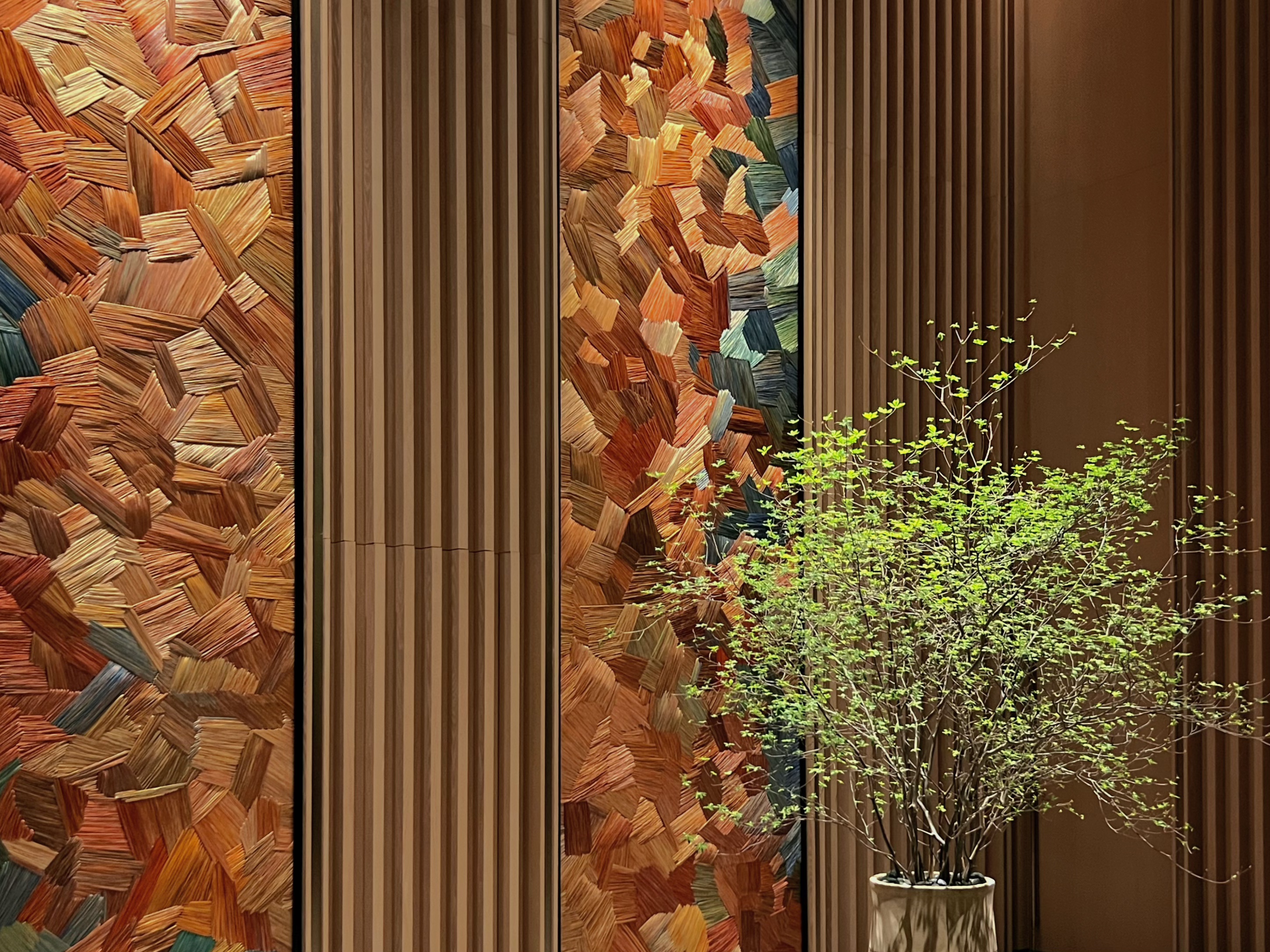 ɳ Park Hyatt Changshaϸڻ