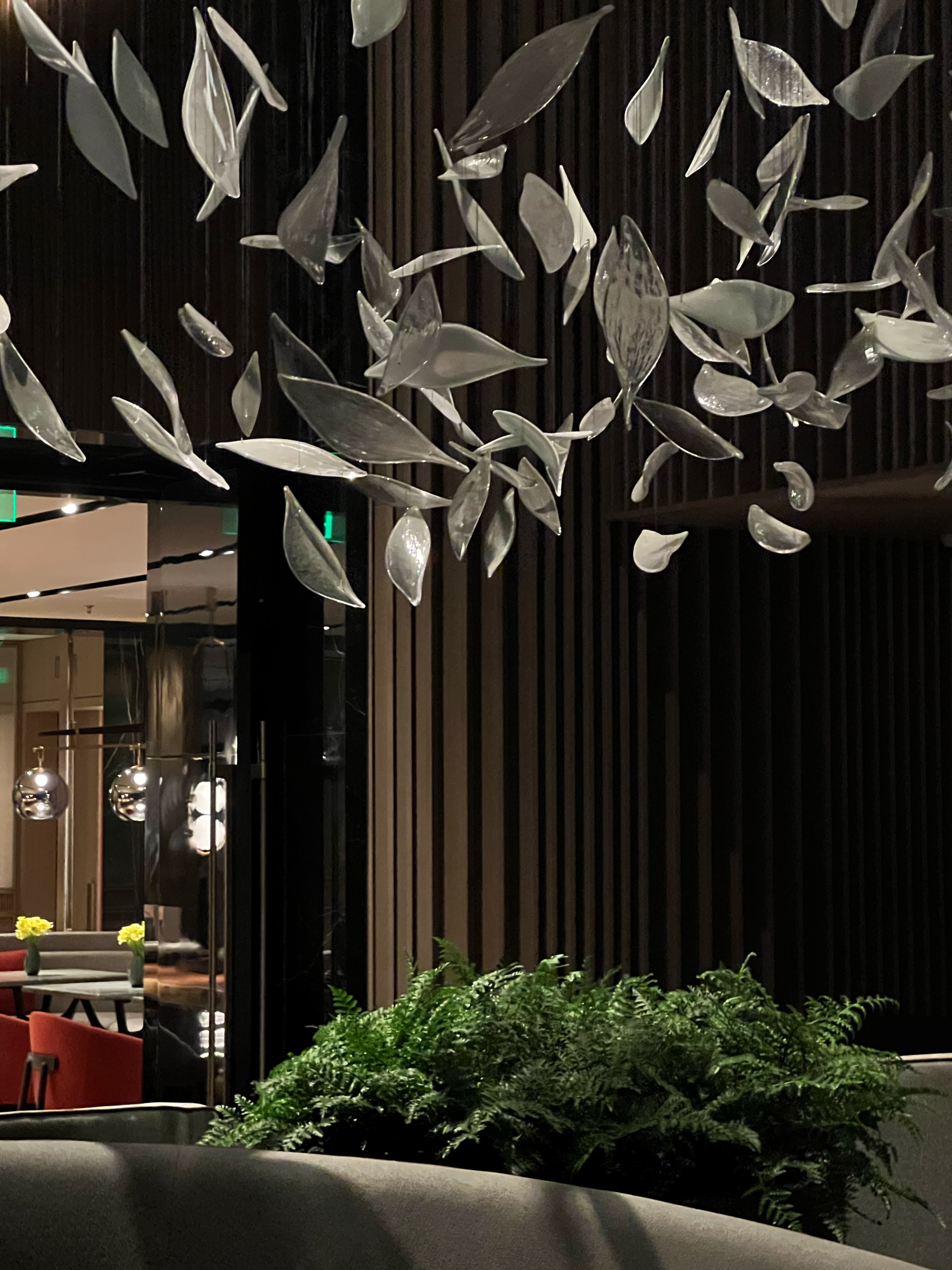 ɳ Park Hyatt Changshaϸڻ