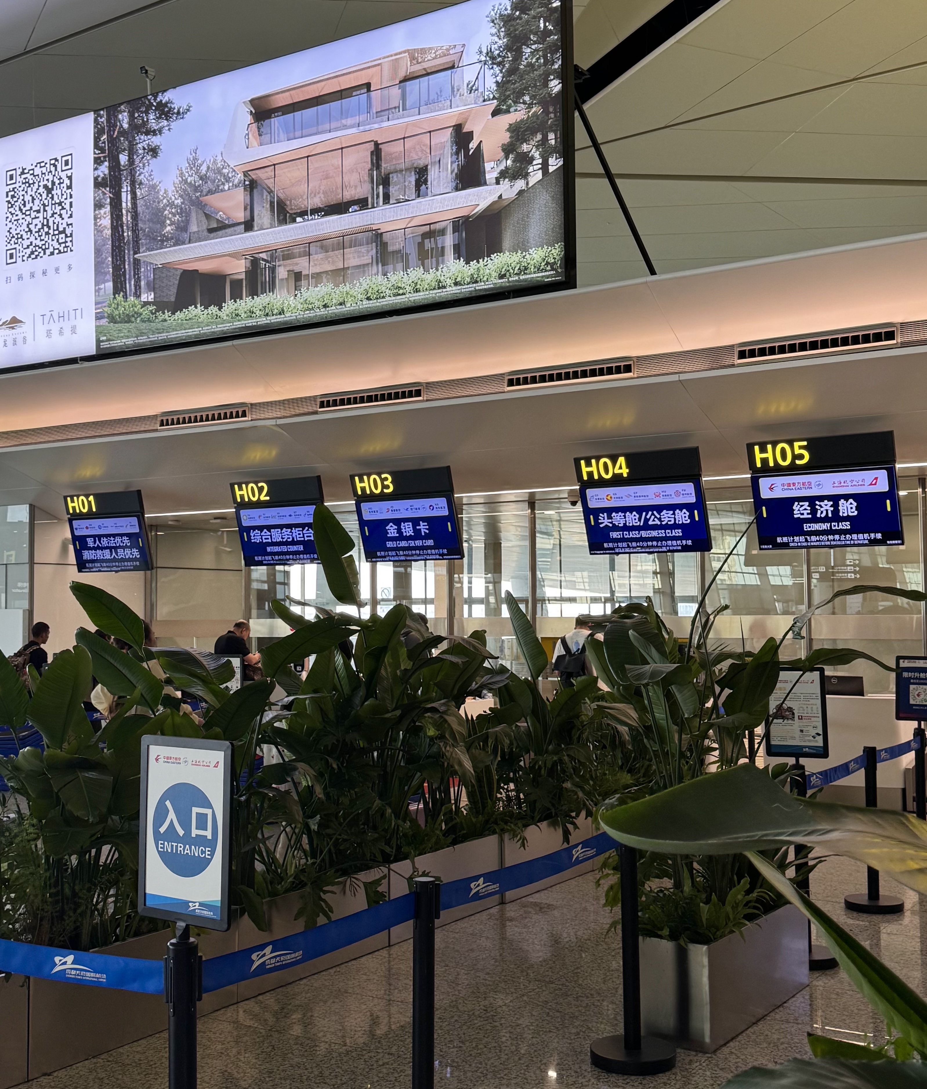 ֮•ú츮A321neo