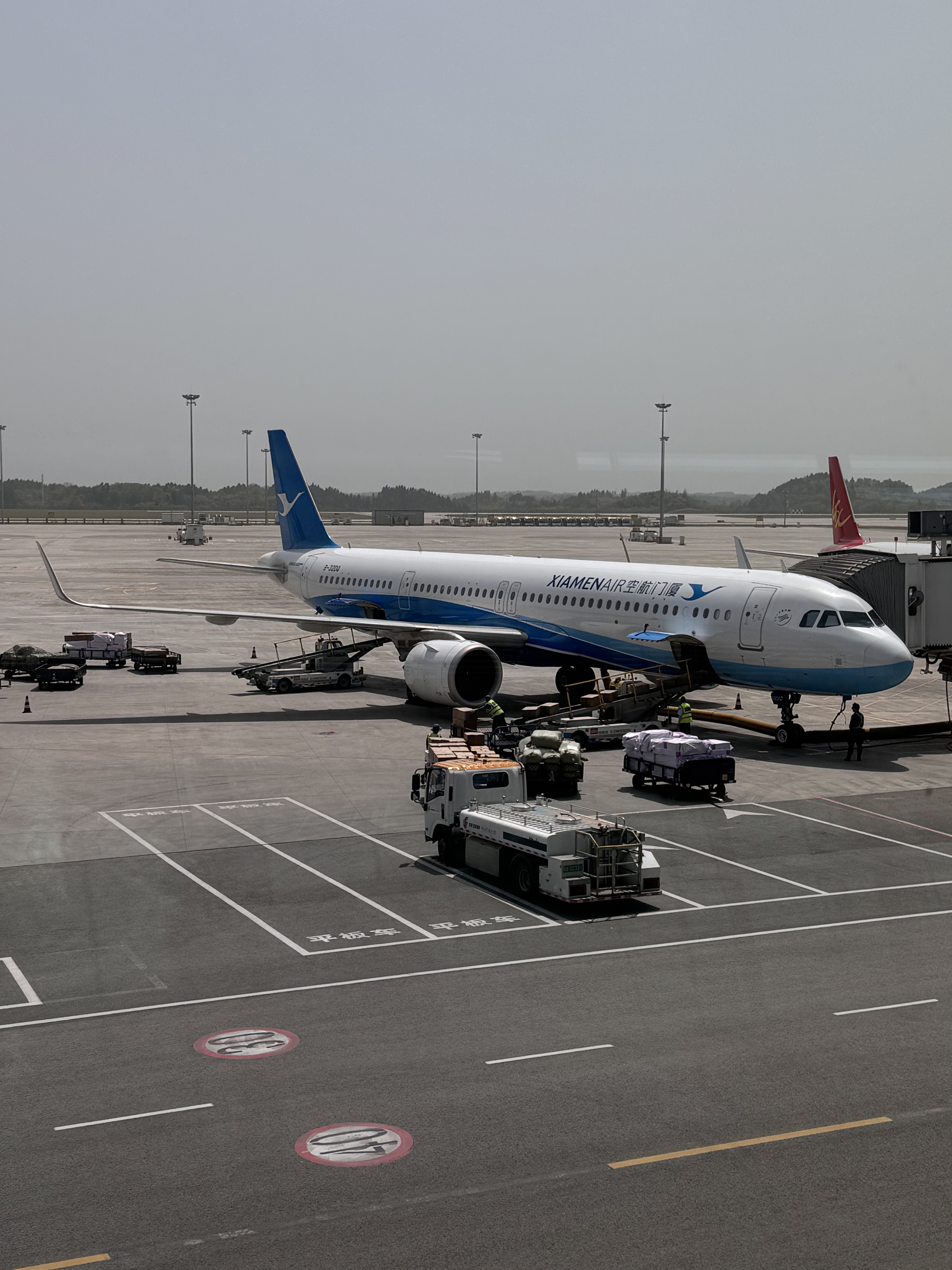 ֮•ú츮A321neo