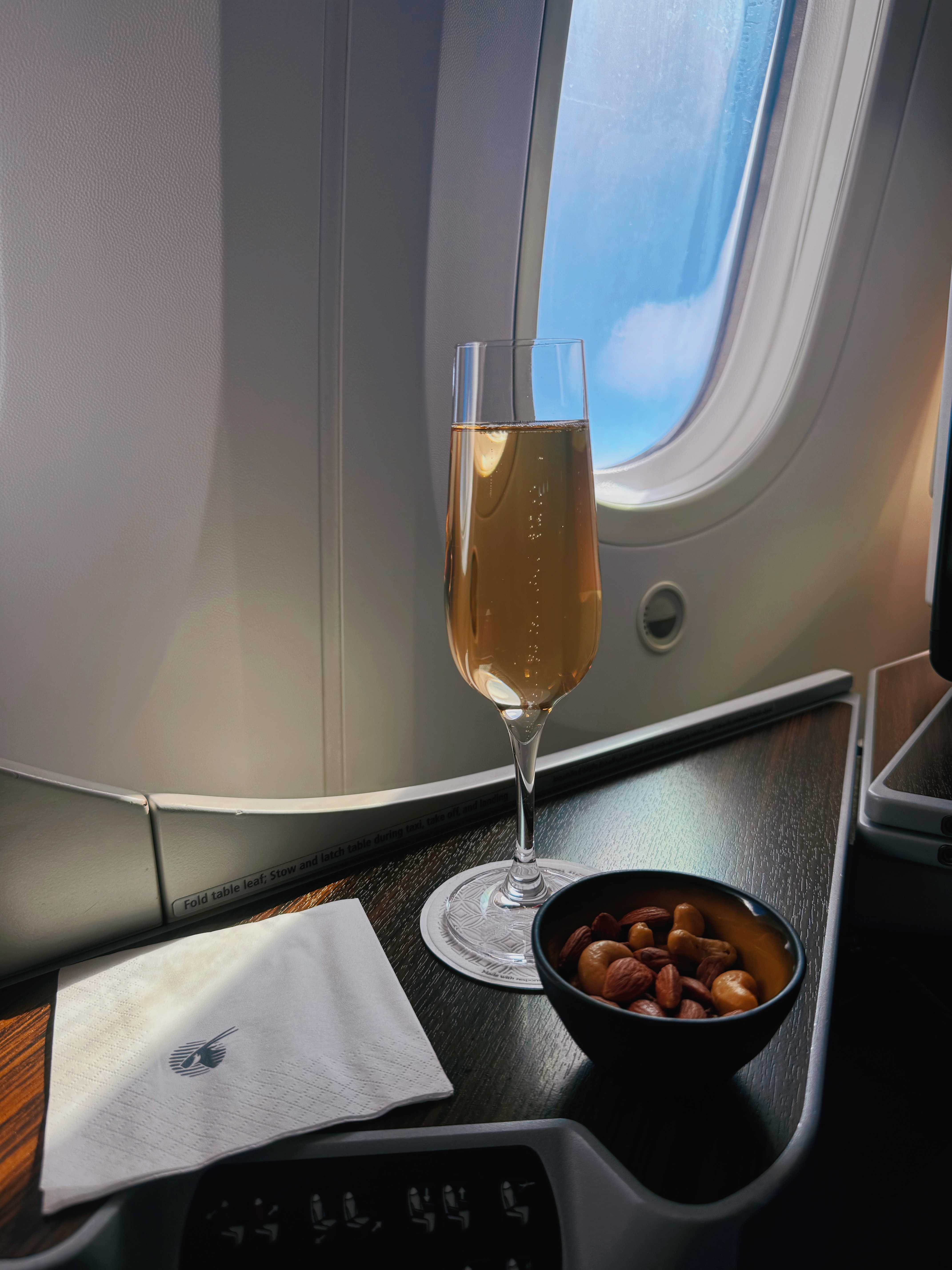 ❸Qatar Airways QR92 HAM-DOH Business