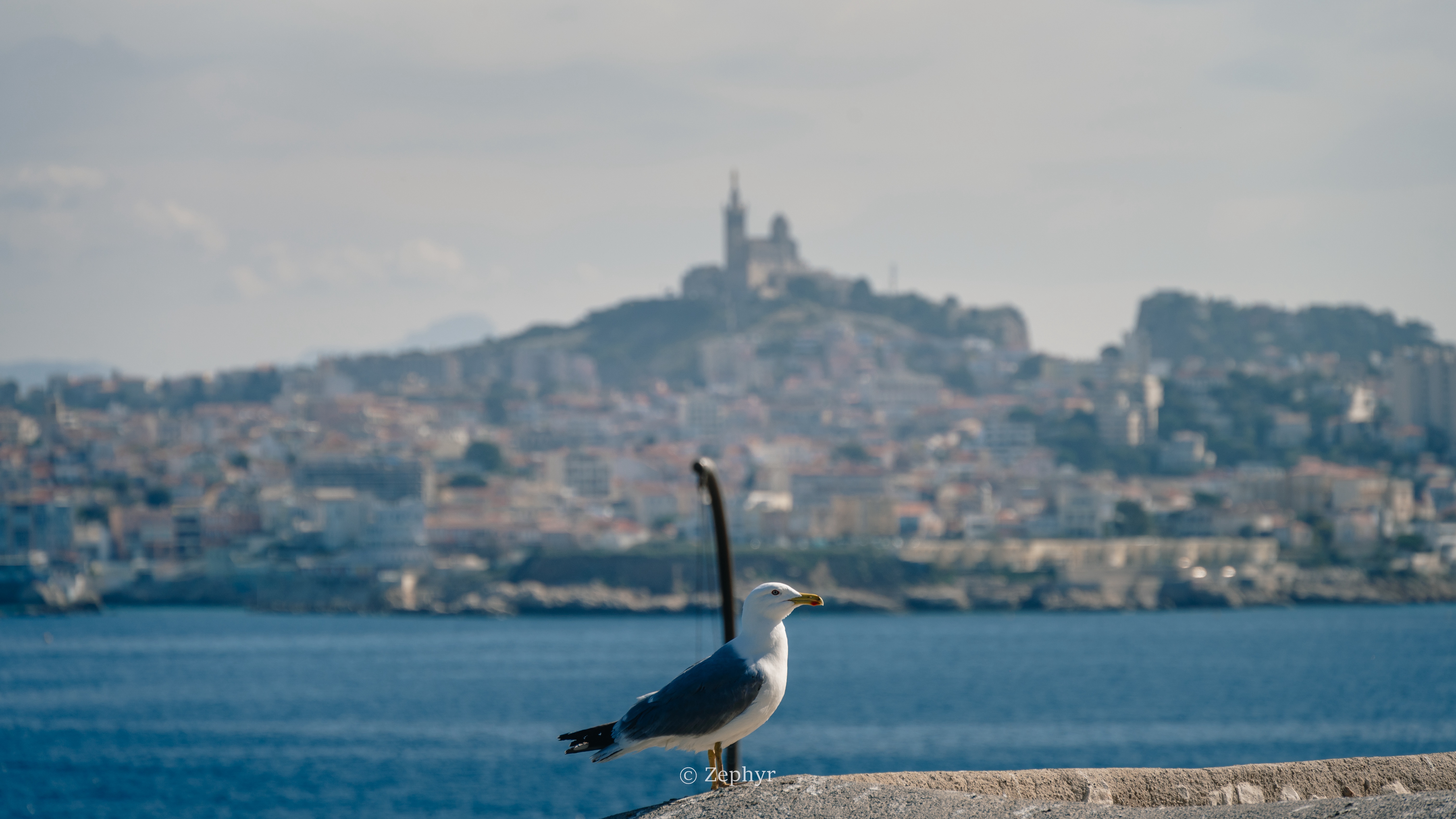 ʷ ۾Ұ޼ Prestige SuiteInterContinental Marseille