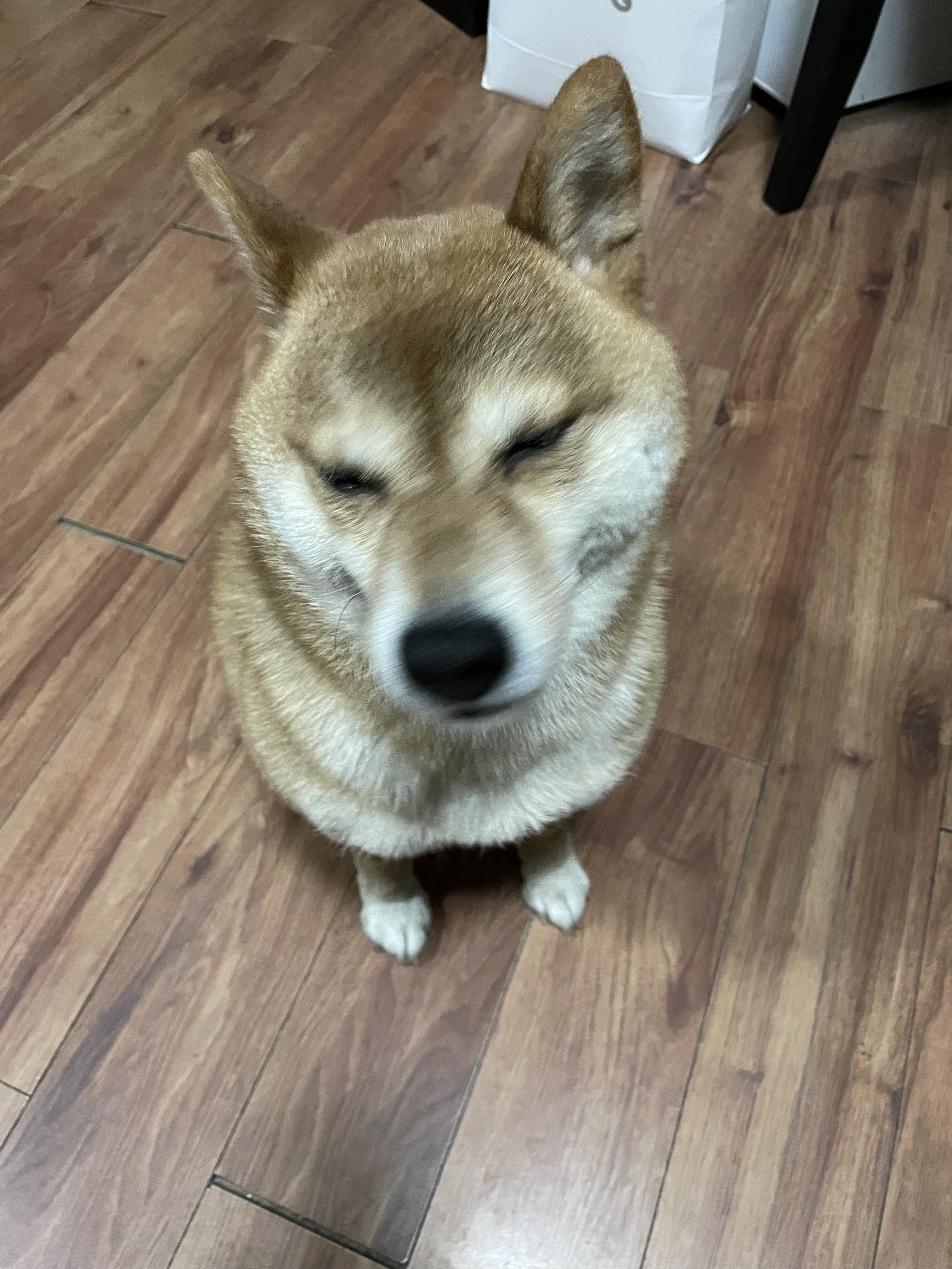 ˼پƵ갢˹׷-˼