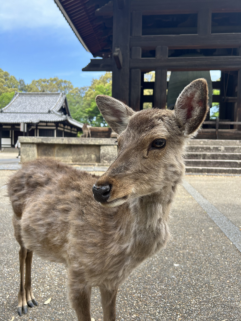 100519GJSGAUSGFFDIDMTY.png 100519GJSGAUSGFFDIDMTY.png