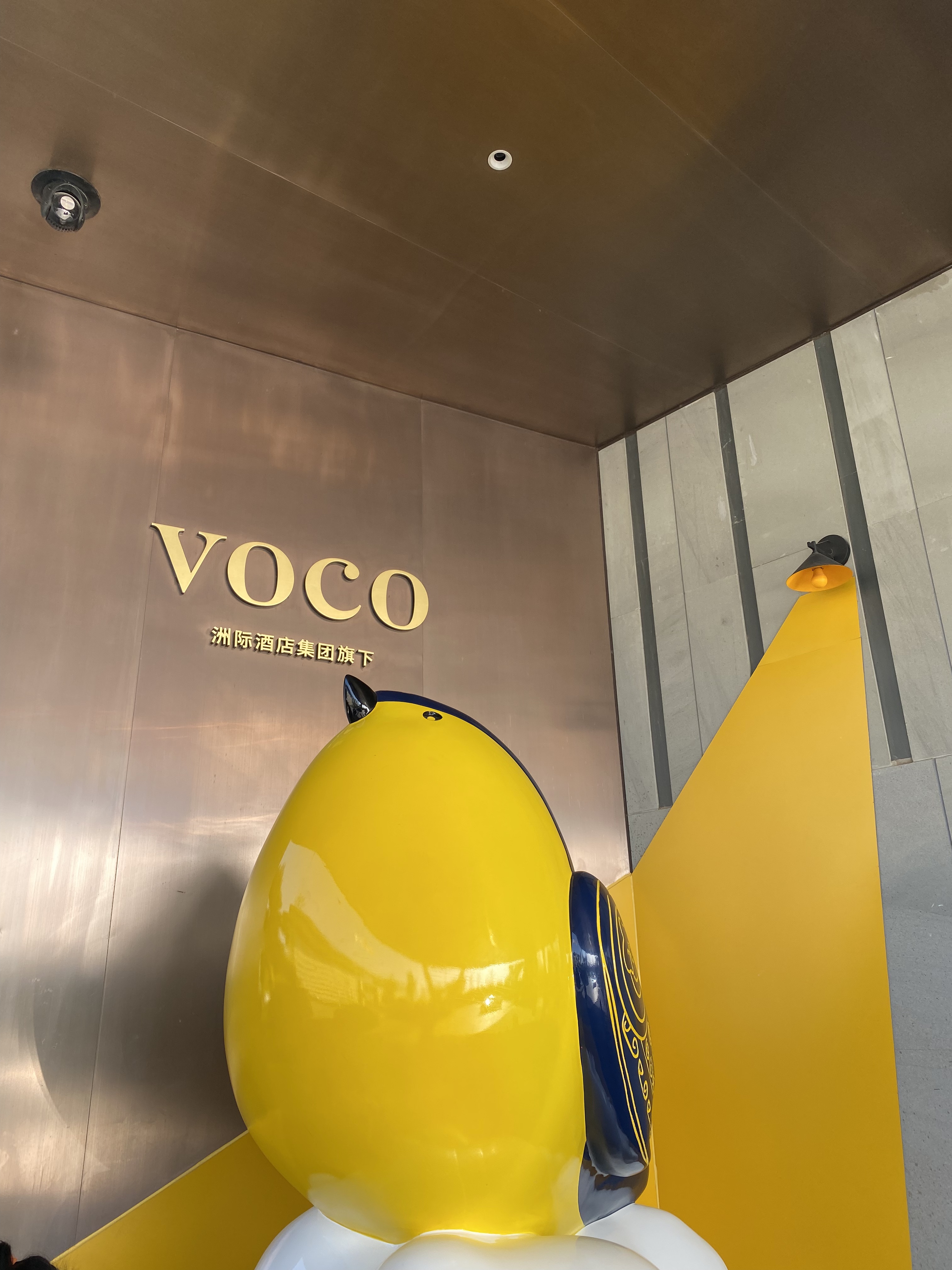 Լˮ˵ʮվ̢֣԰԰voco