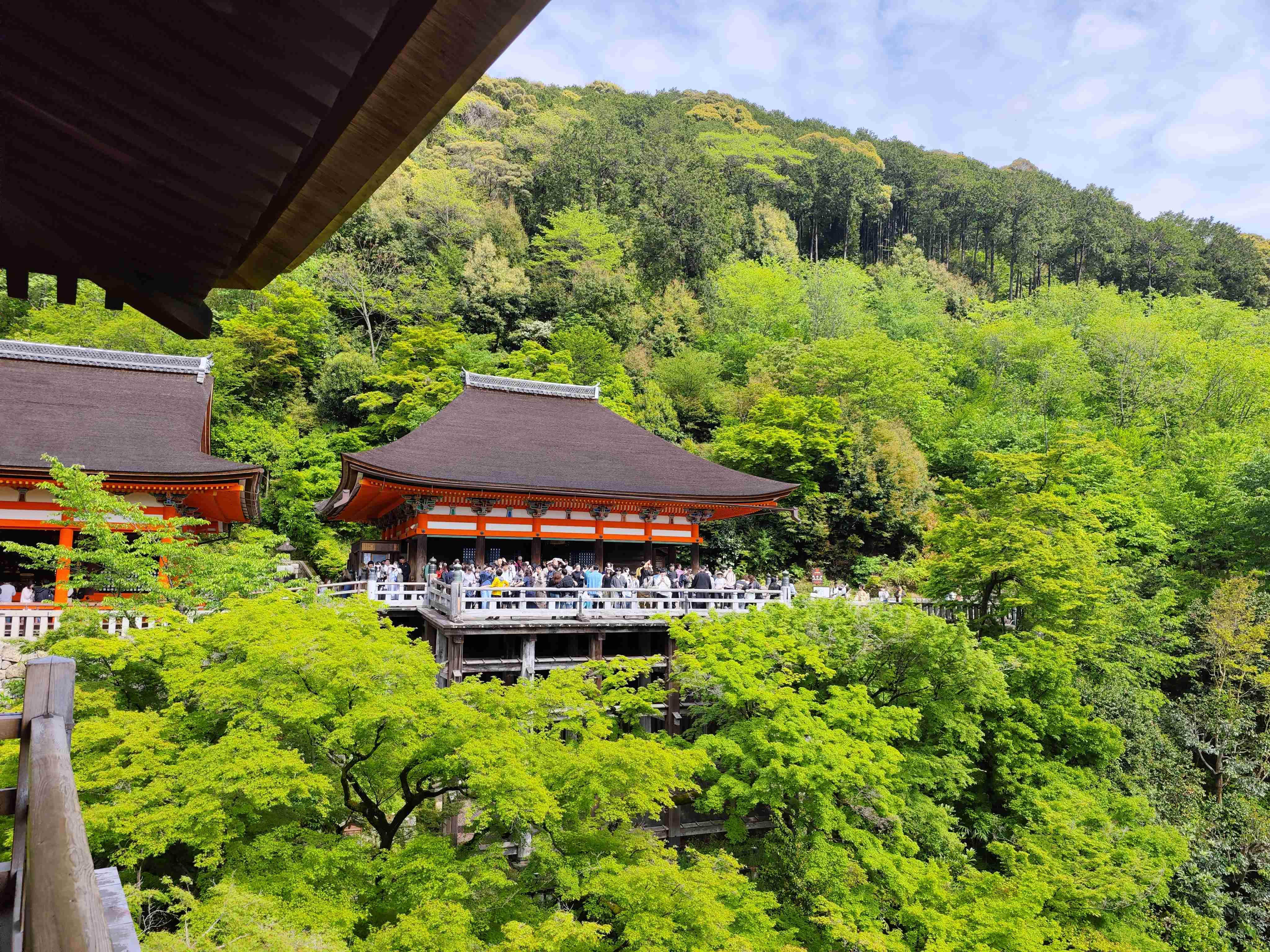 #³#ظϲǾƵͷin Kyoto Oike.