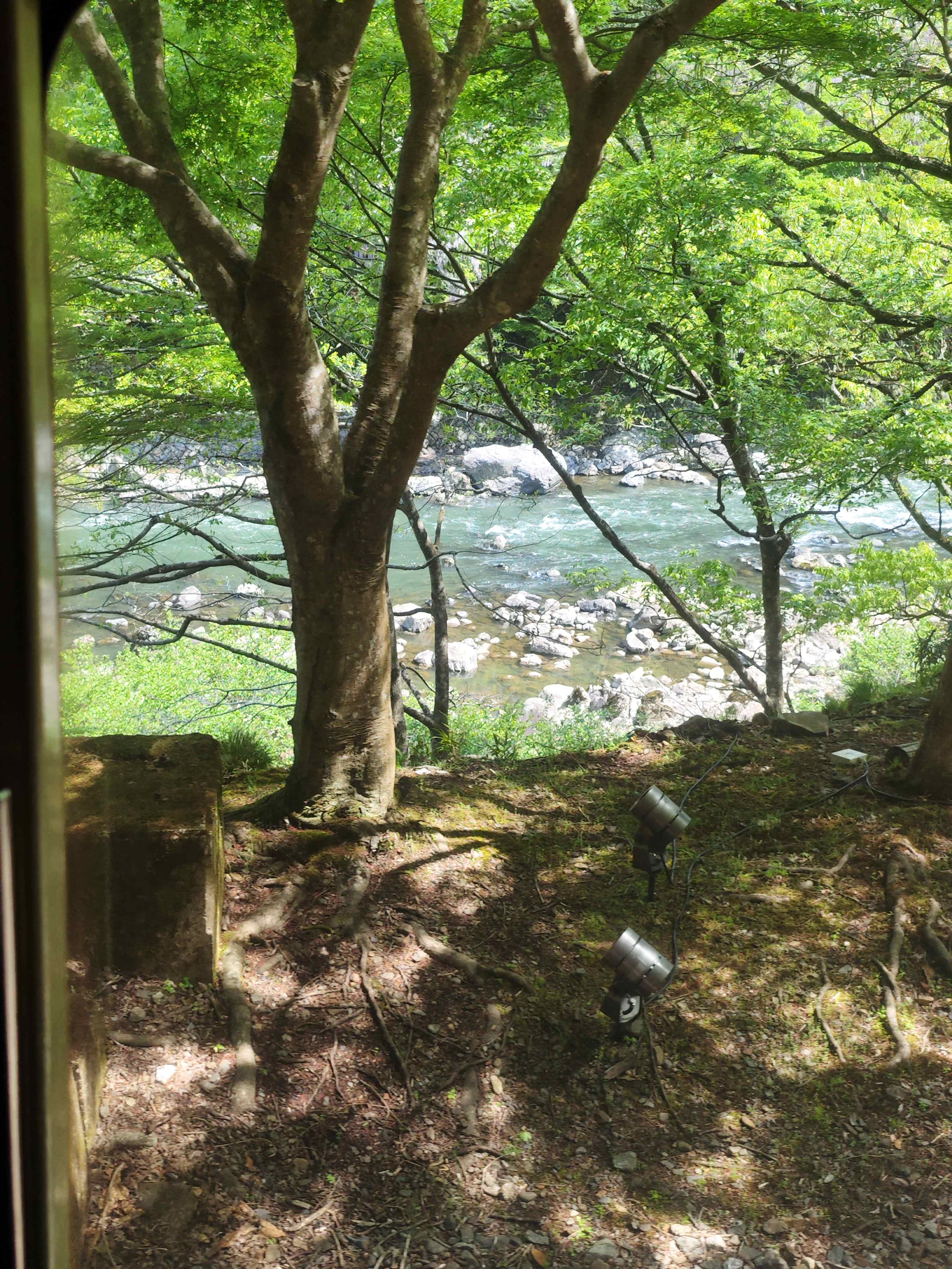 #³#ظϲǾƵͷin Kyoto Oike.
