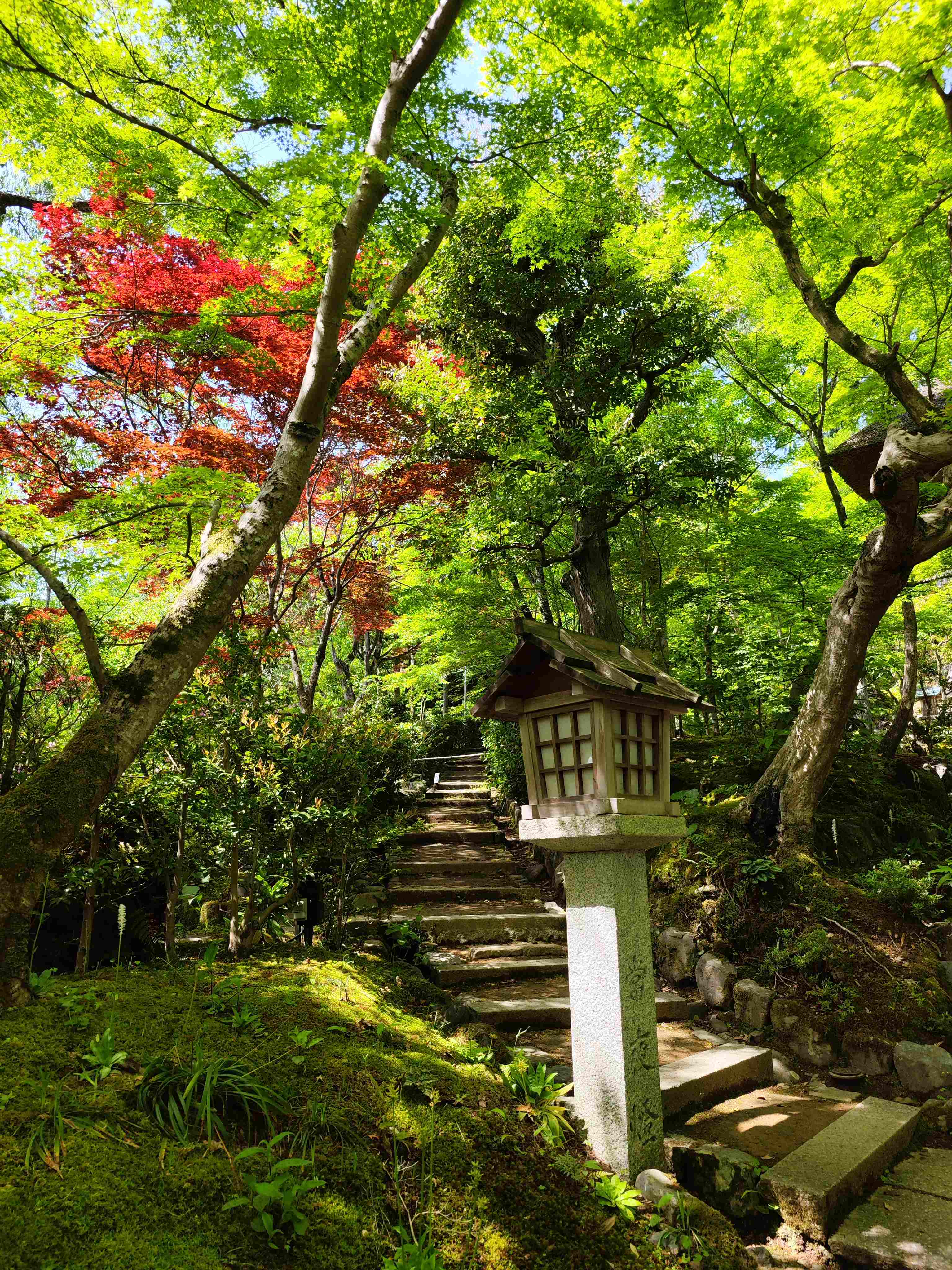 #³#ظϲǾƵͷin Kyoto Oike.