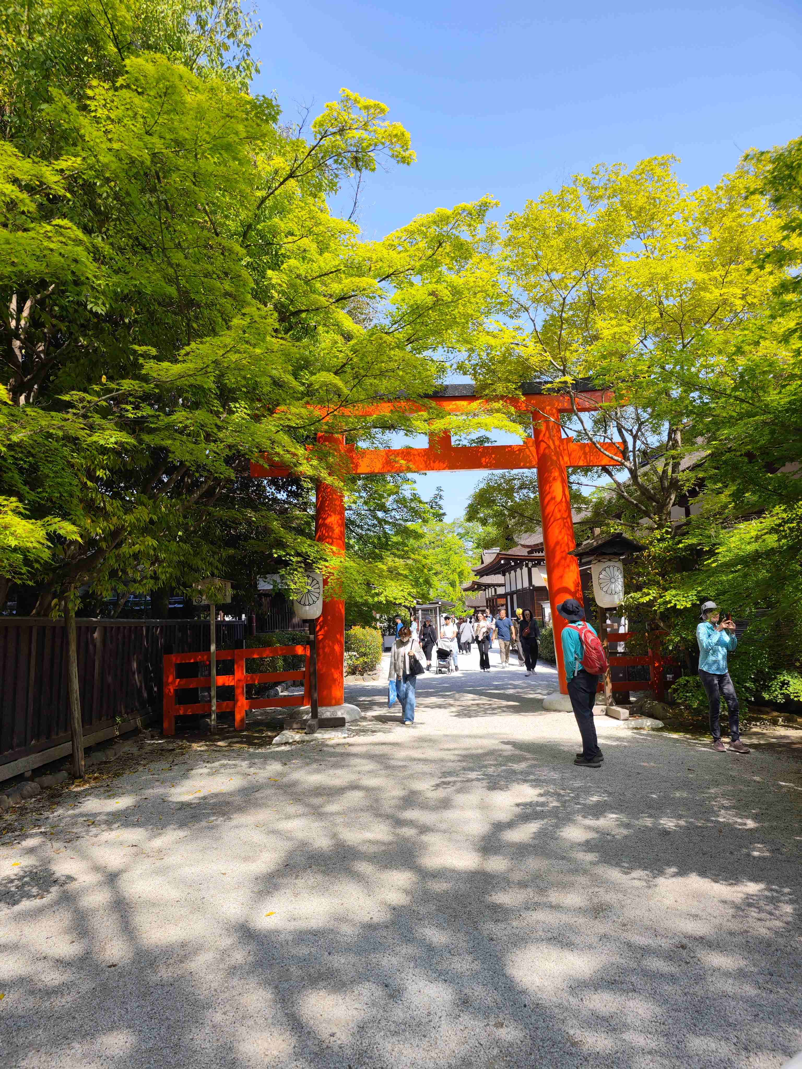 #³#ظϲǾƵͷin Kyoto Oike.
