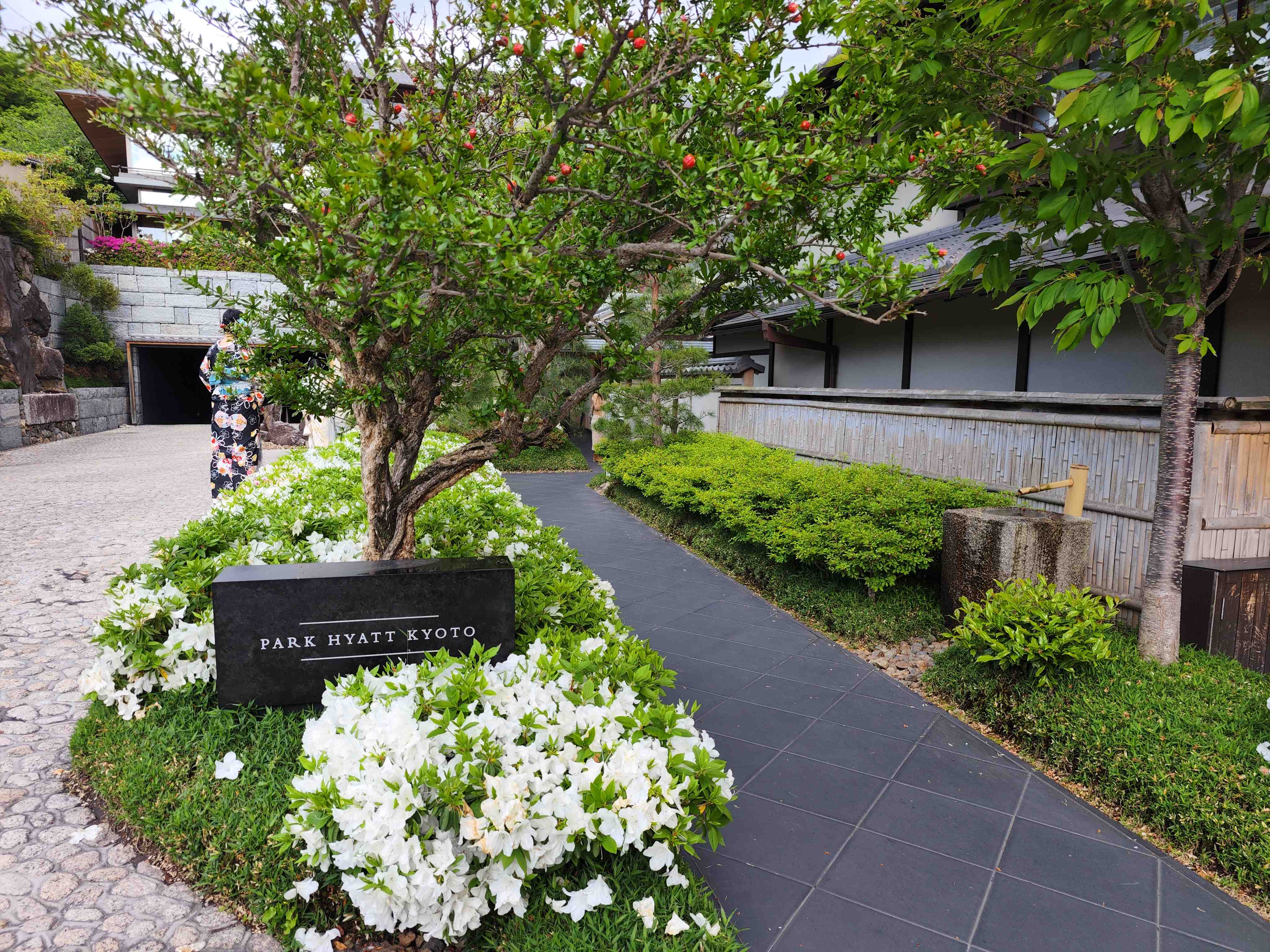 #³#ظϲǾƵͷin Kyoto Oike.