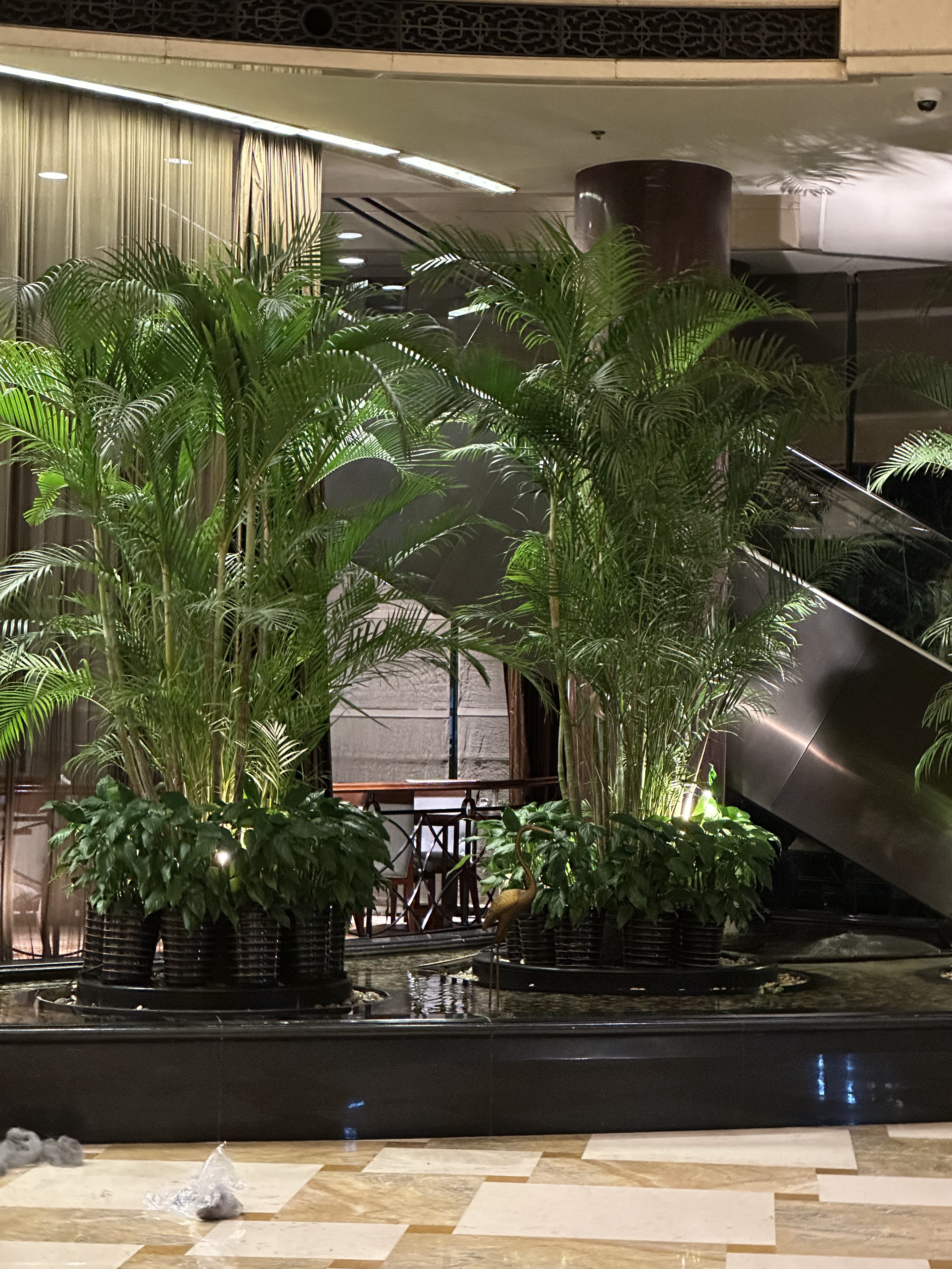 Ϻѡ-//The Hongta Hotel Luxury collection Delux King