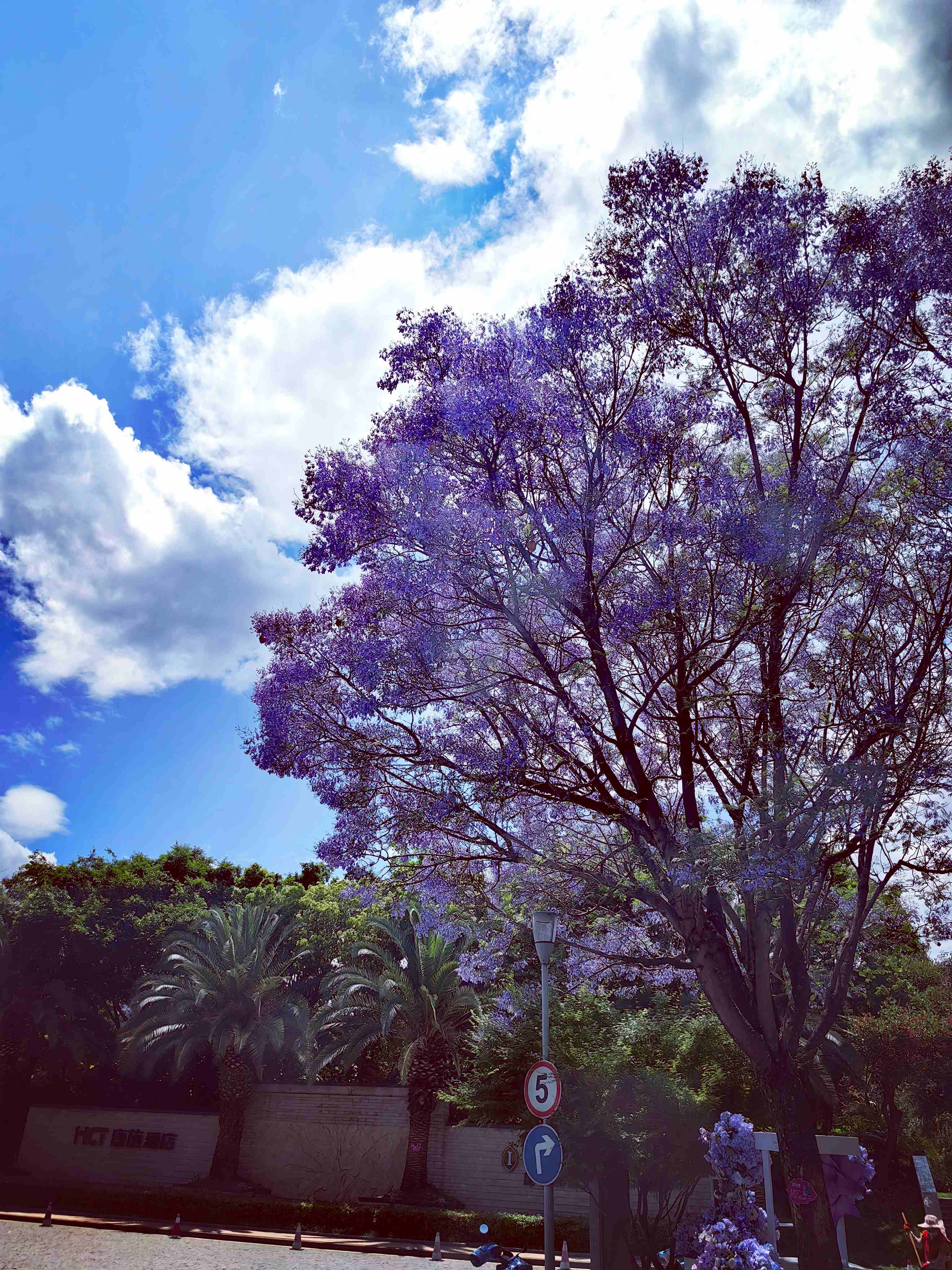 ֹһ/ڷˣ/ϲǾƵ