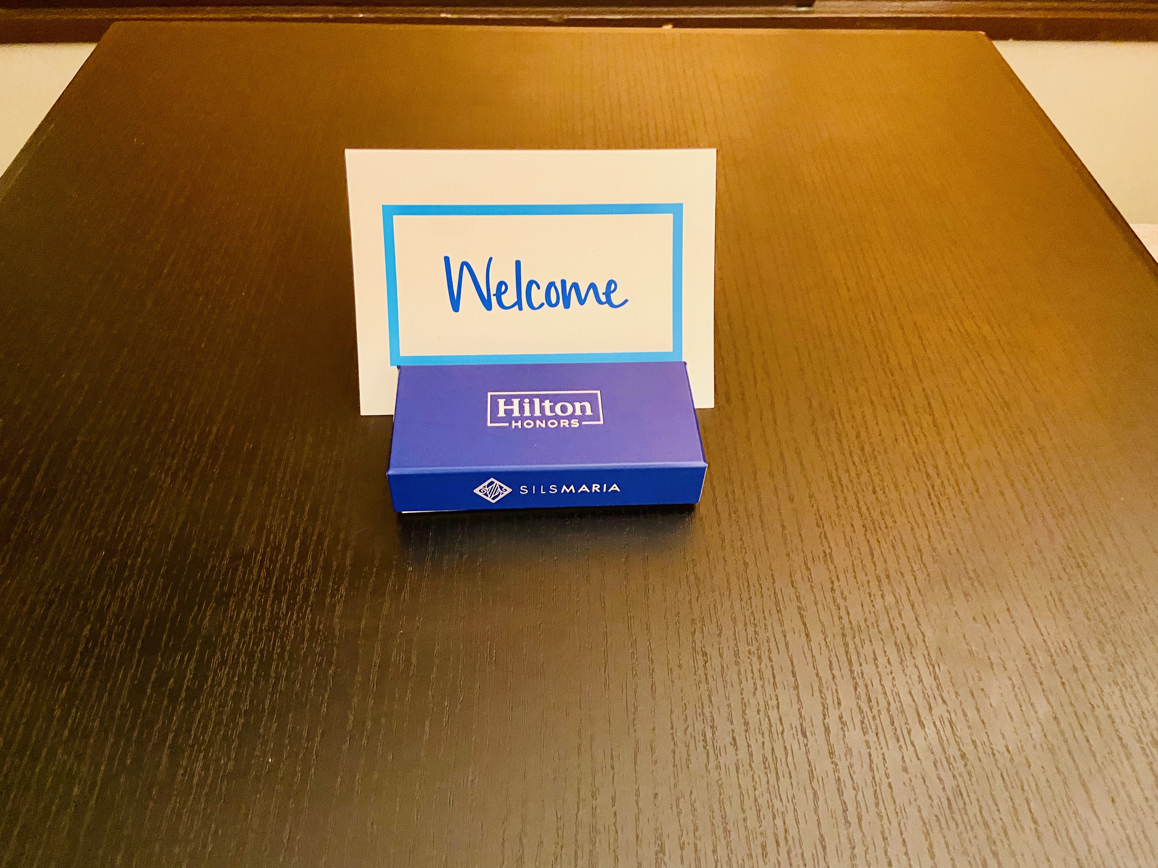 ޺絽ѩϣپƵHilton Tokyo Bay