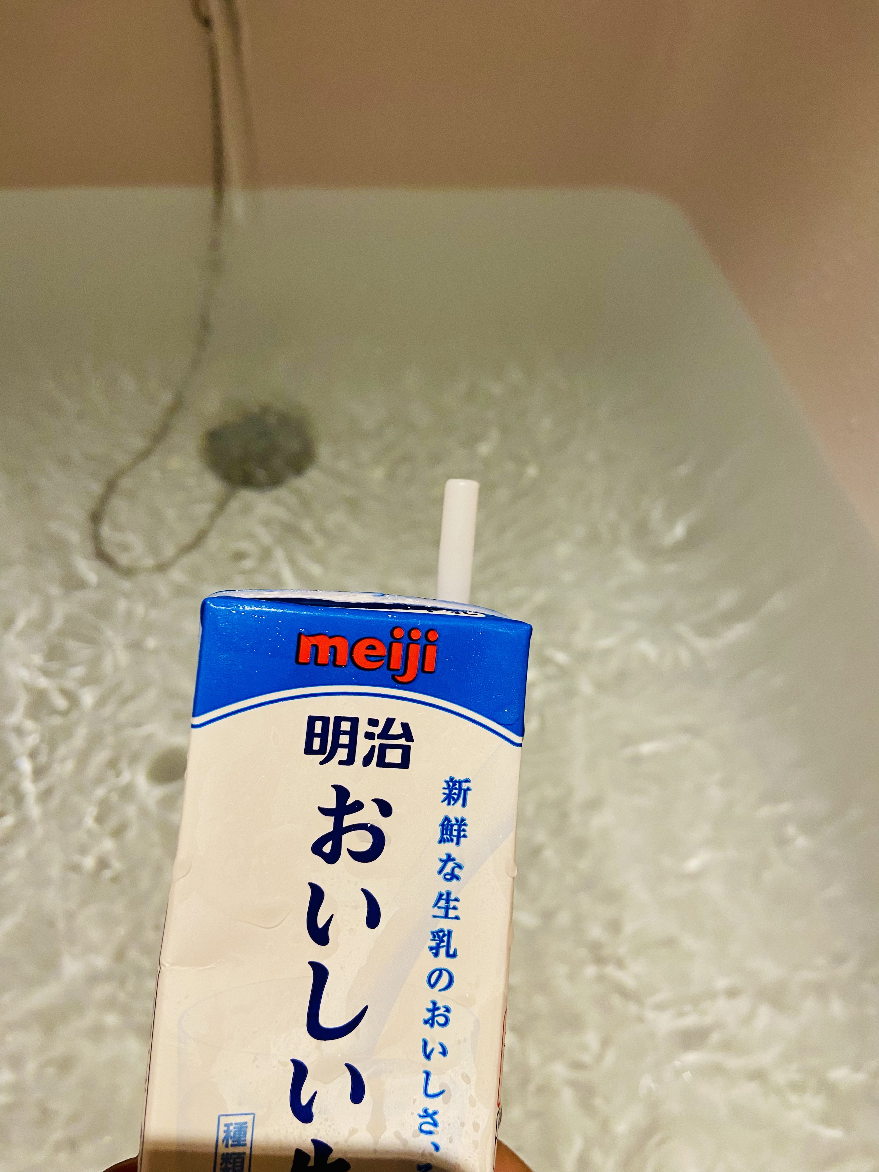 ޺絽ѩϣپƵHilton Tokyo Bay