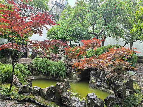 园内柳参差 平湖春意迟（平湖卓越铂尔曼酒店）