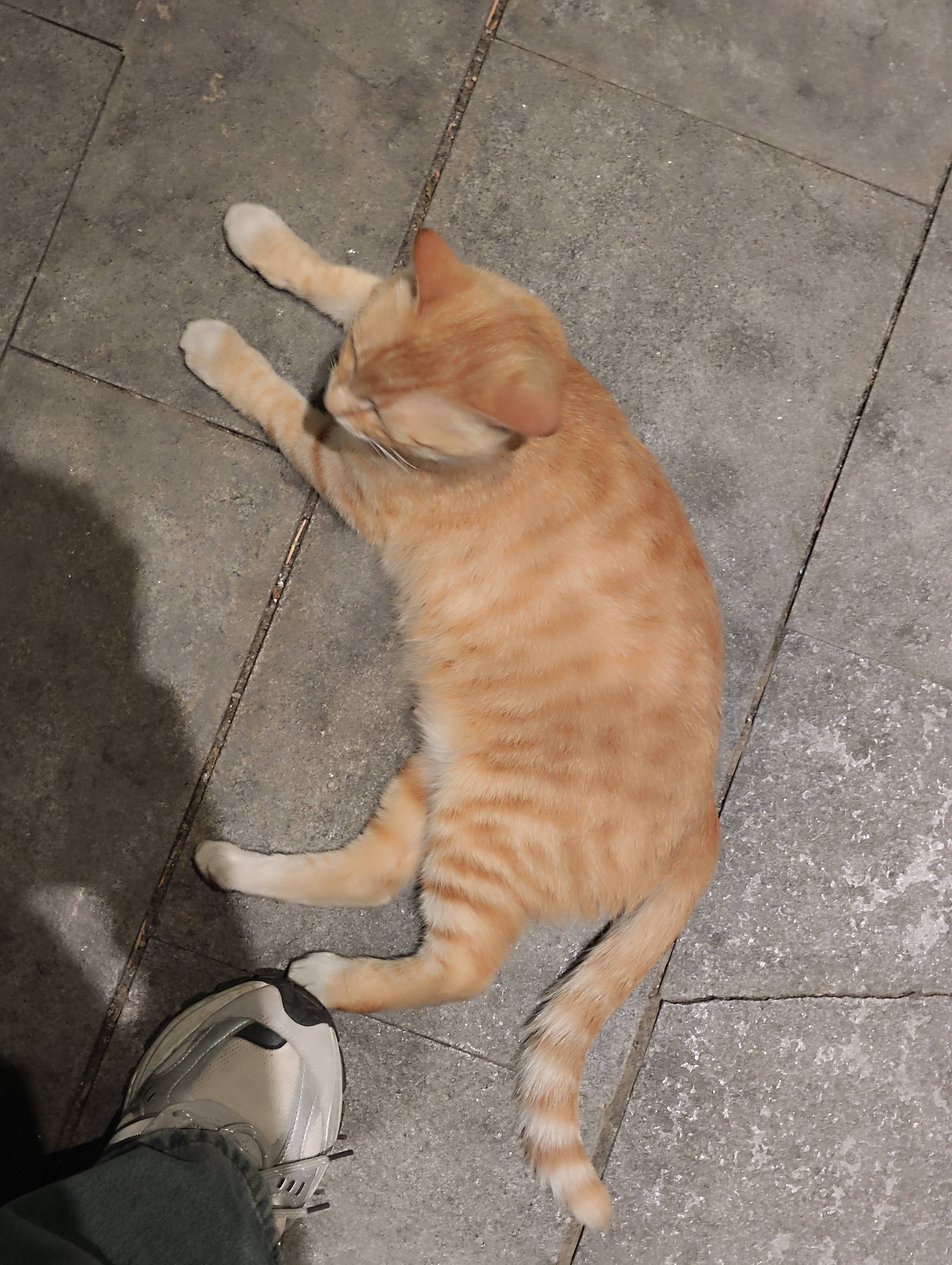 ϷڴƵ꣺ں˻ɷ绪ڷʩź