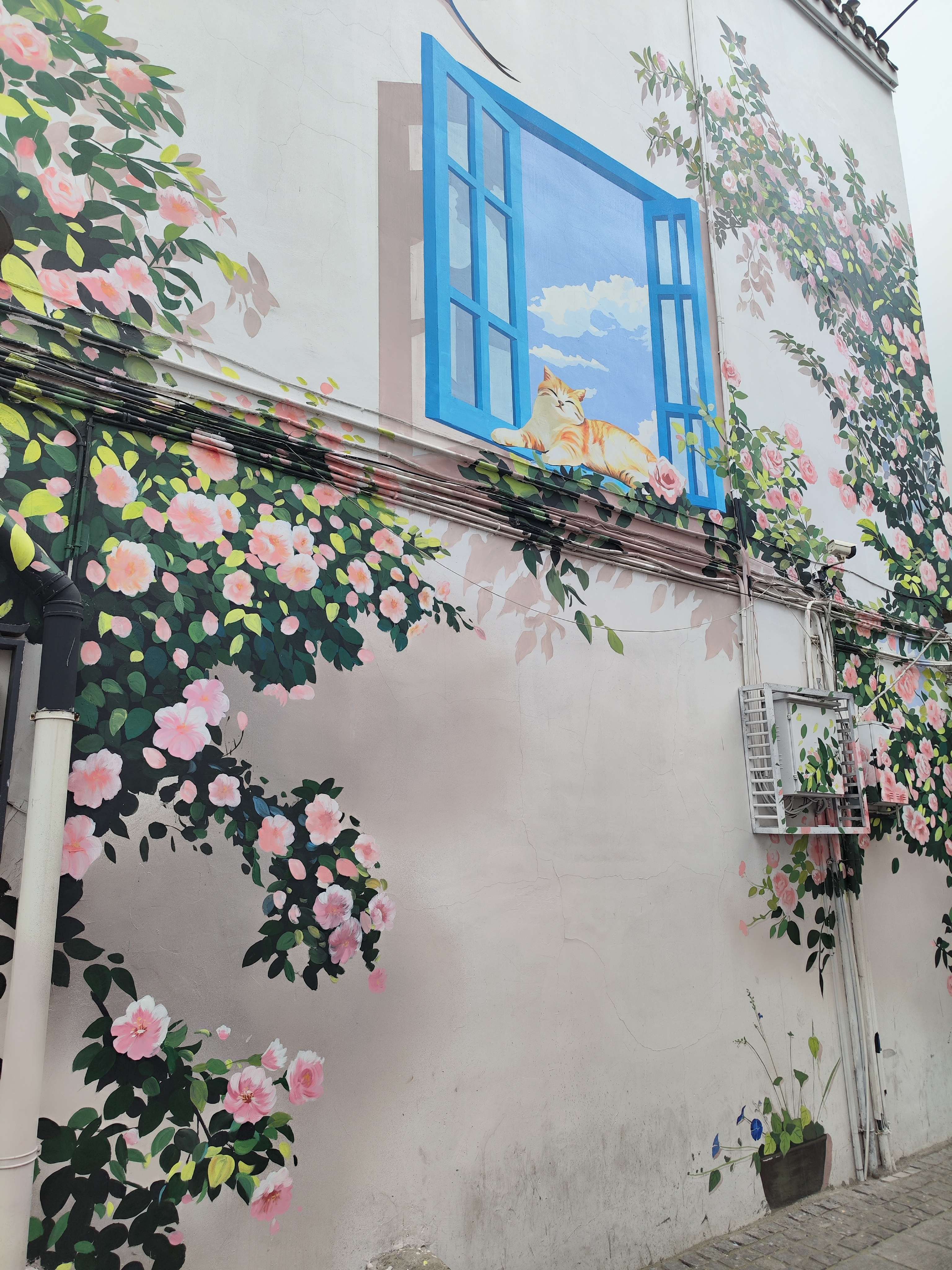 ϷڴƵ꣺ں˻ɷ绪ڷʩź