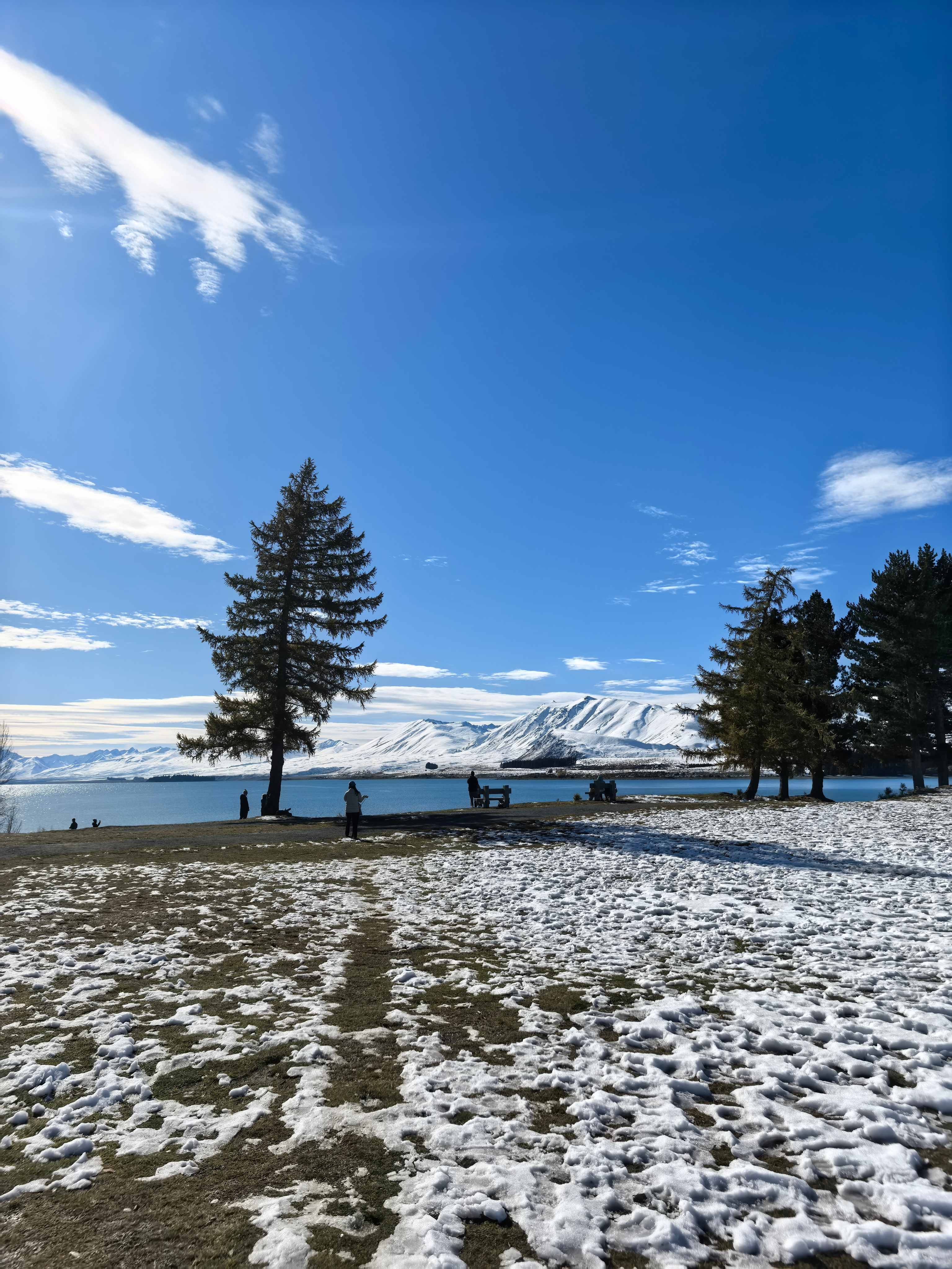 Tekapo Peppersؿˮ豶ȼپƵ
