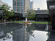 㷢-<em>AlilA</em>Ϻ-׷