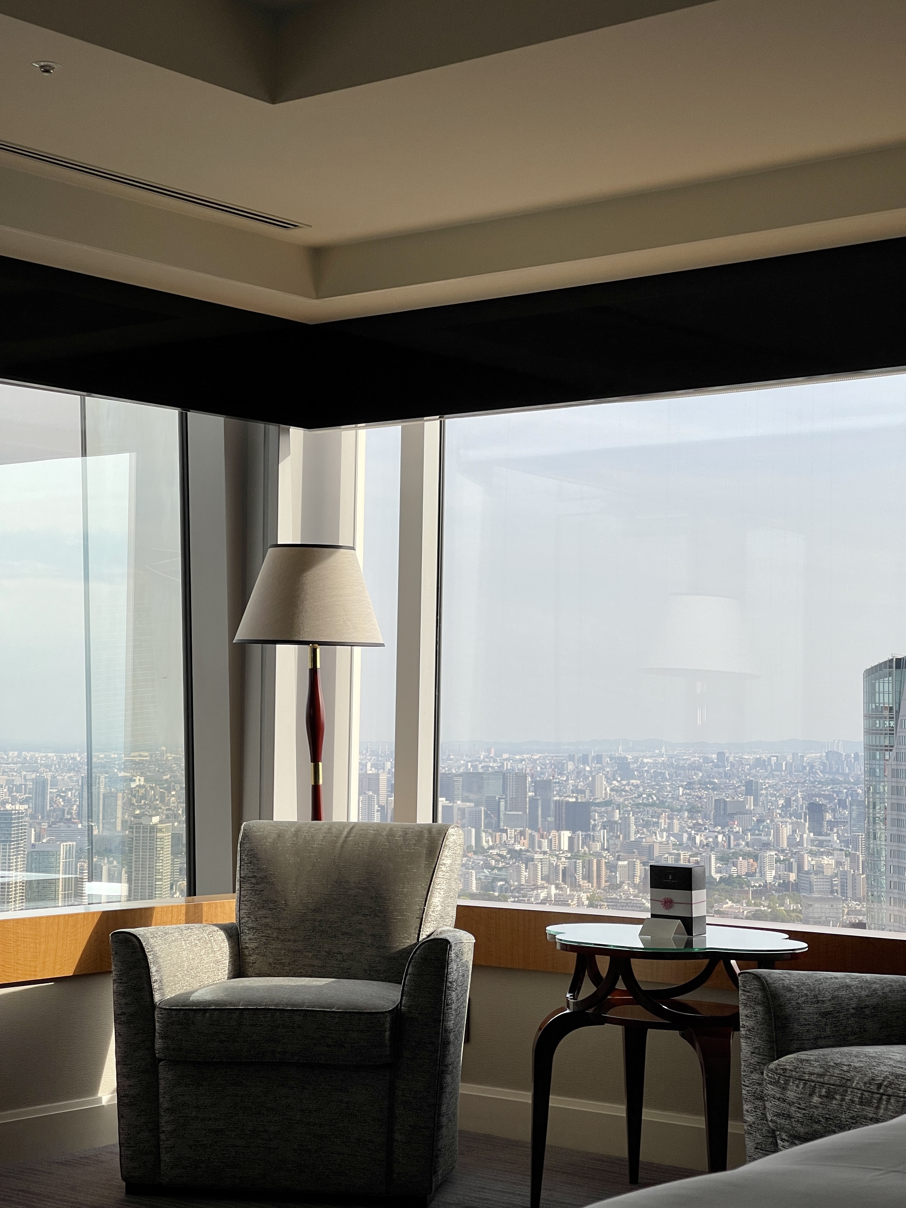 Our view is best in Tokyo˼پƵ