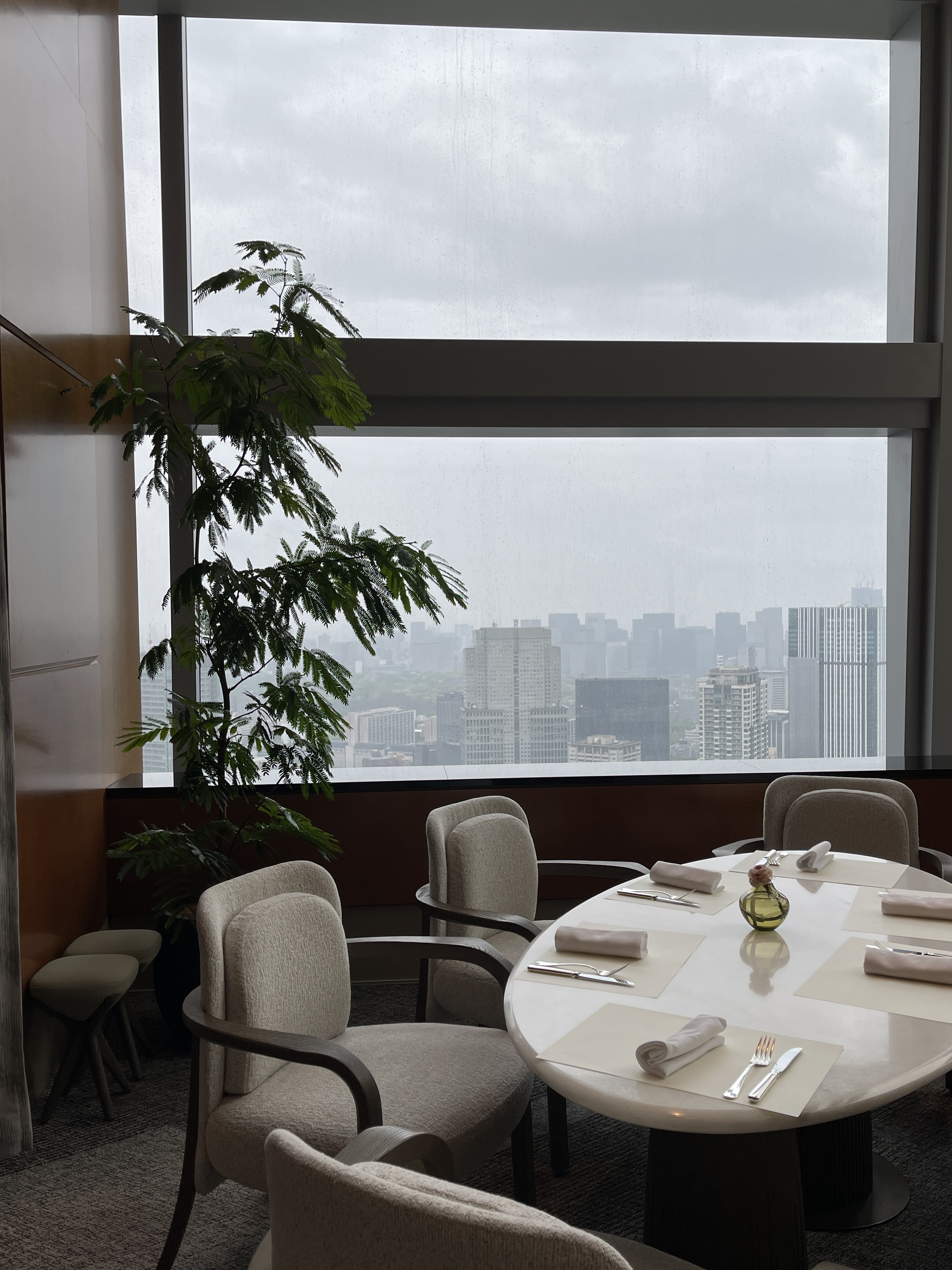 Our view is best in Tokyo˼پƵ