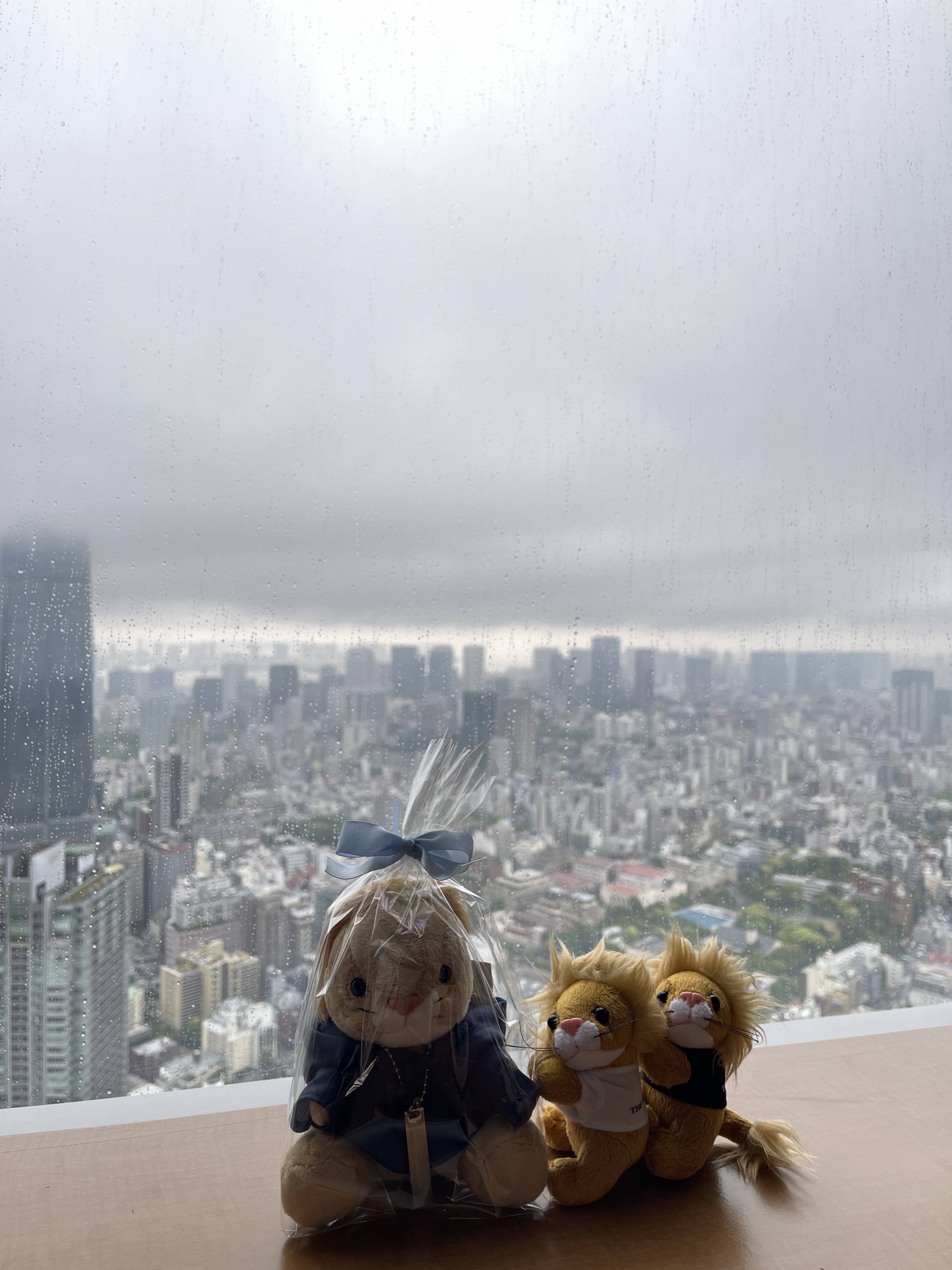 Our view is best in Tokyo˼پƵ